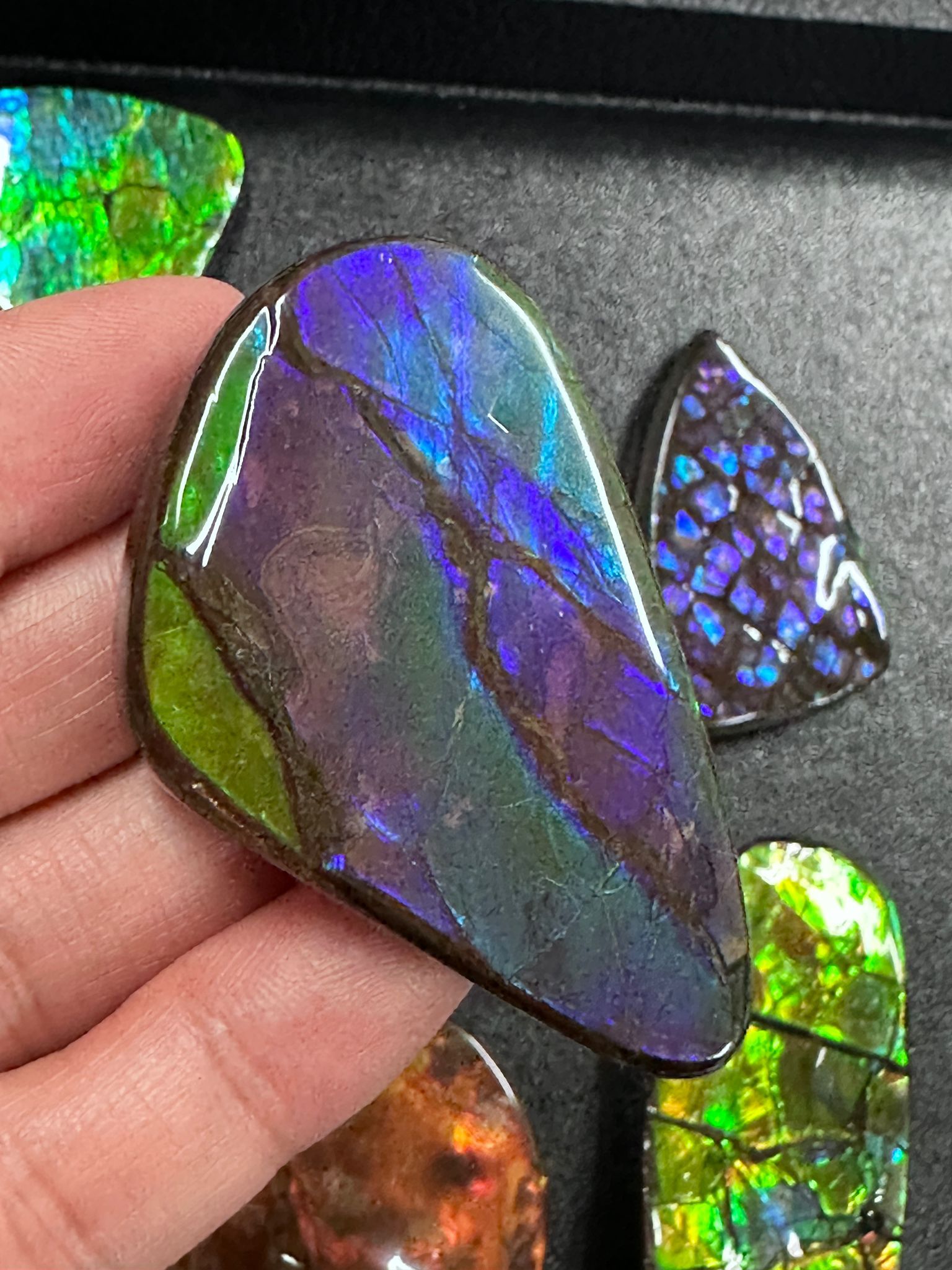 RX99 加拿大斑彩 細擺件38