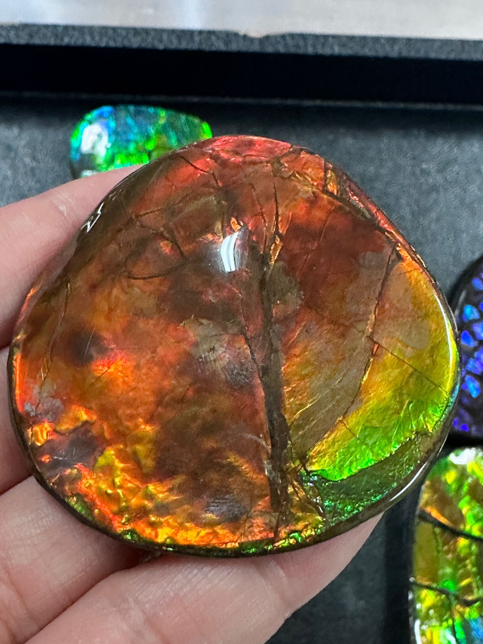 RX102 加拿大斑彩 細擺件41