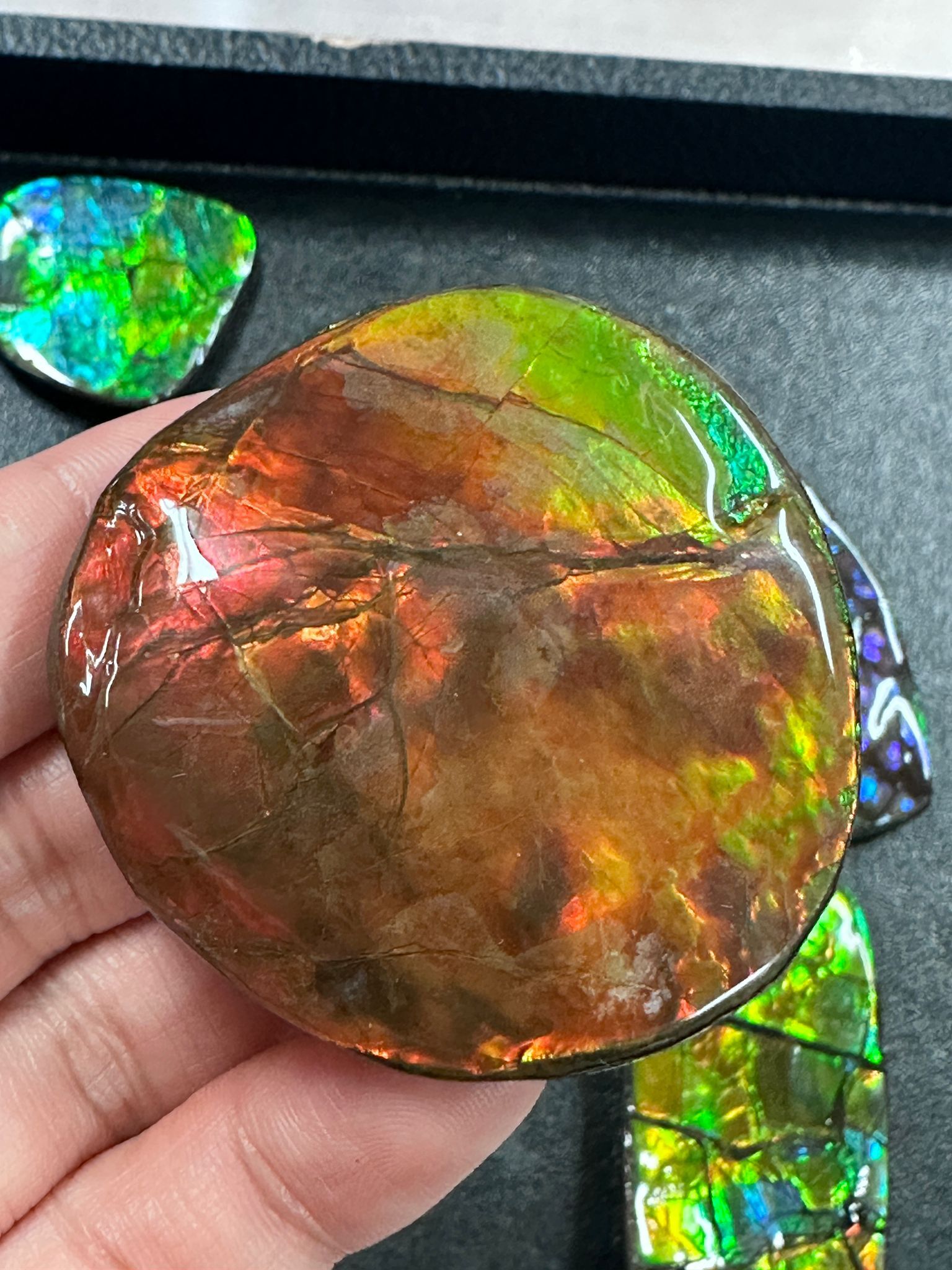 RX102 加拿大斑彩 細擺件41