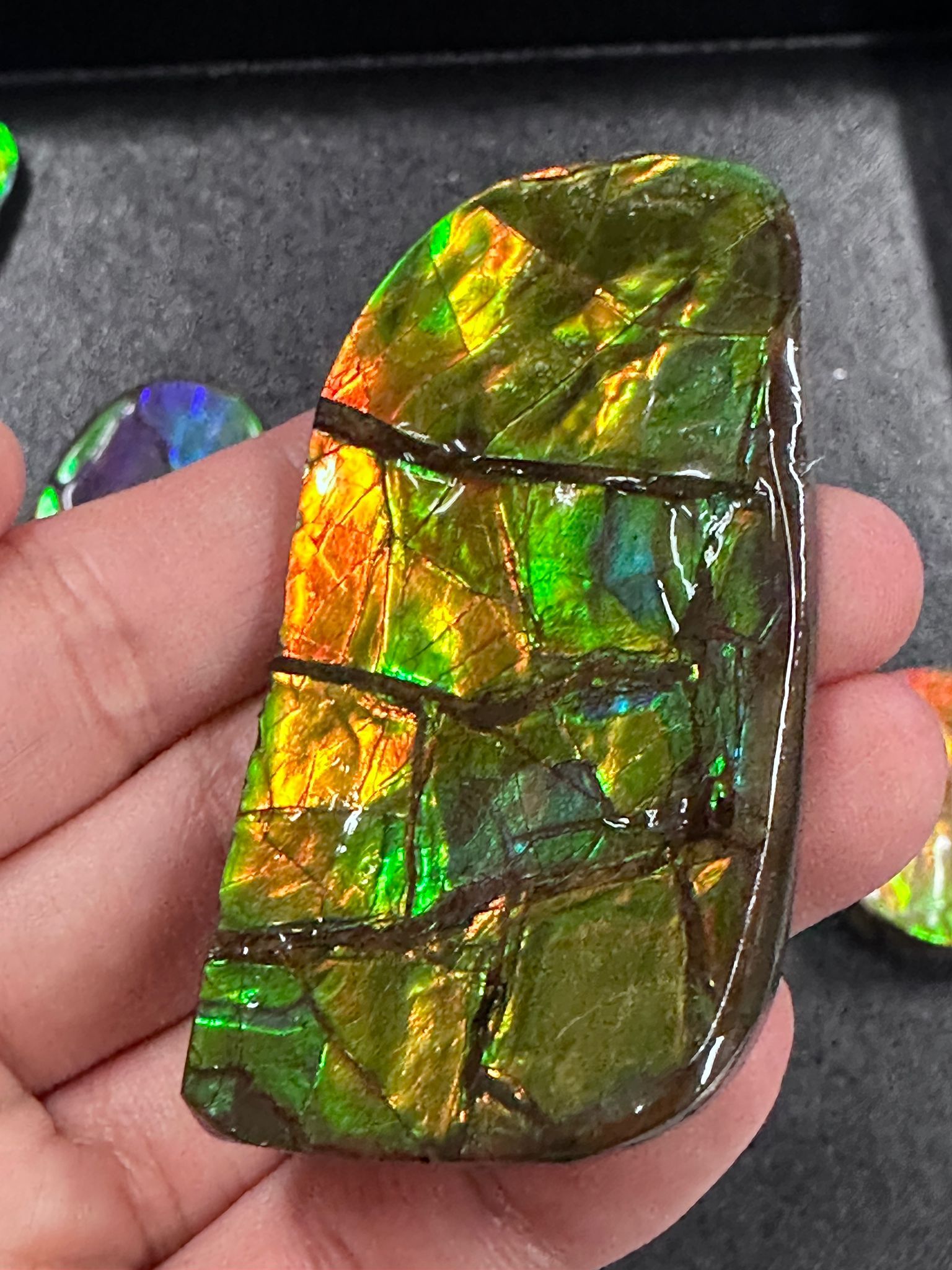 RX103 加拿大斑彩 細擺件42