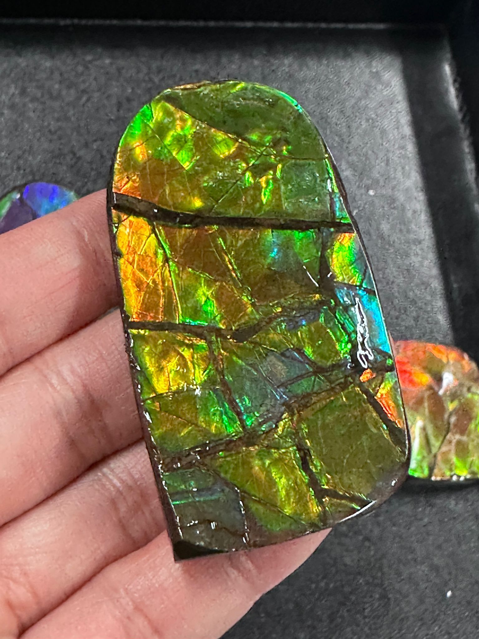 RX103 加拿大斑彩 細擺件42