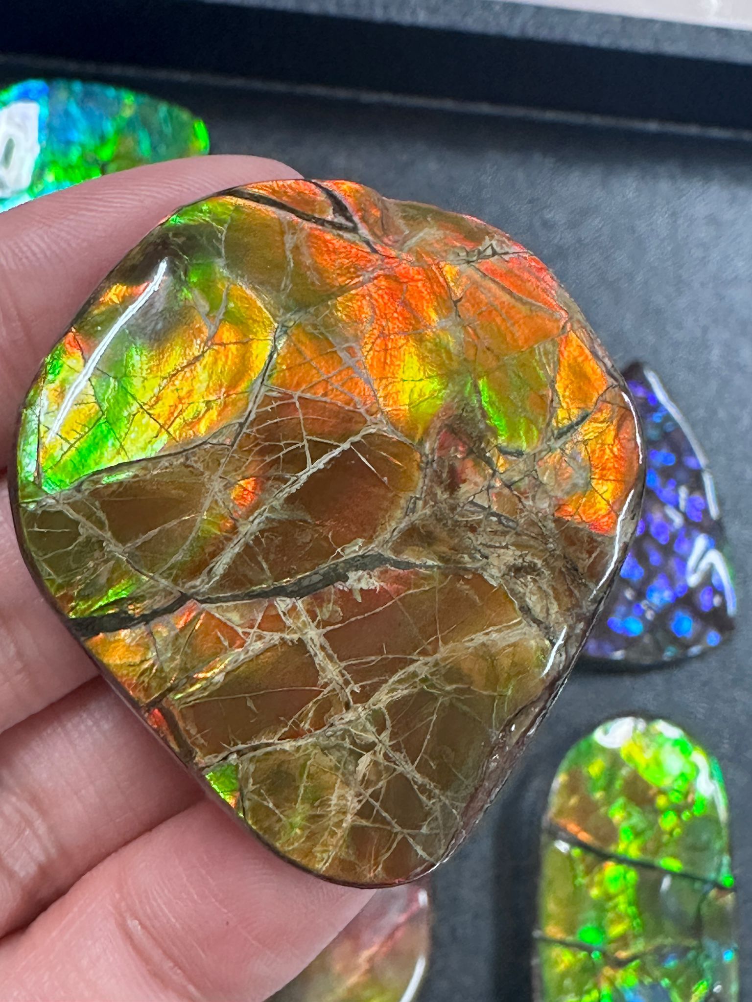 RX104 加拿大斑彩 細擺件43