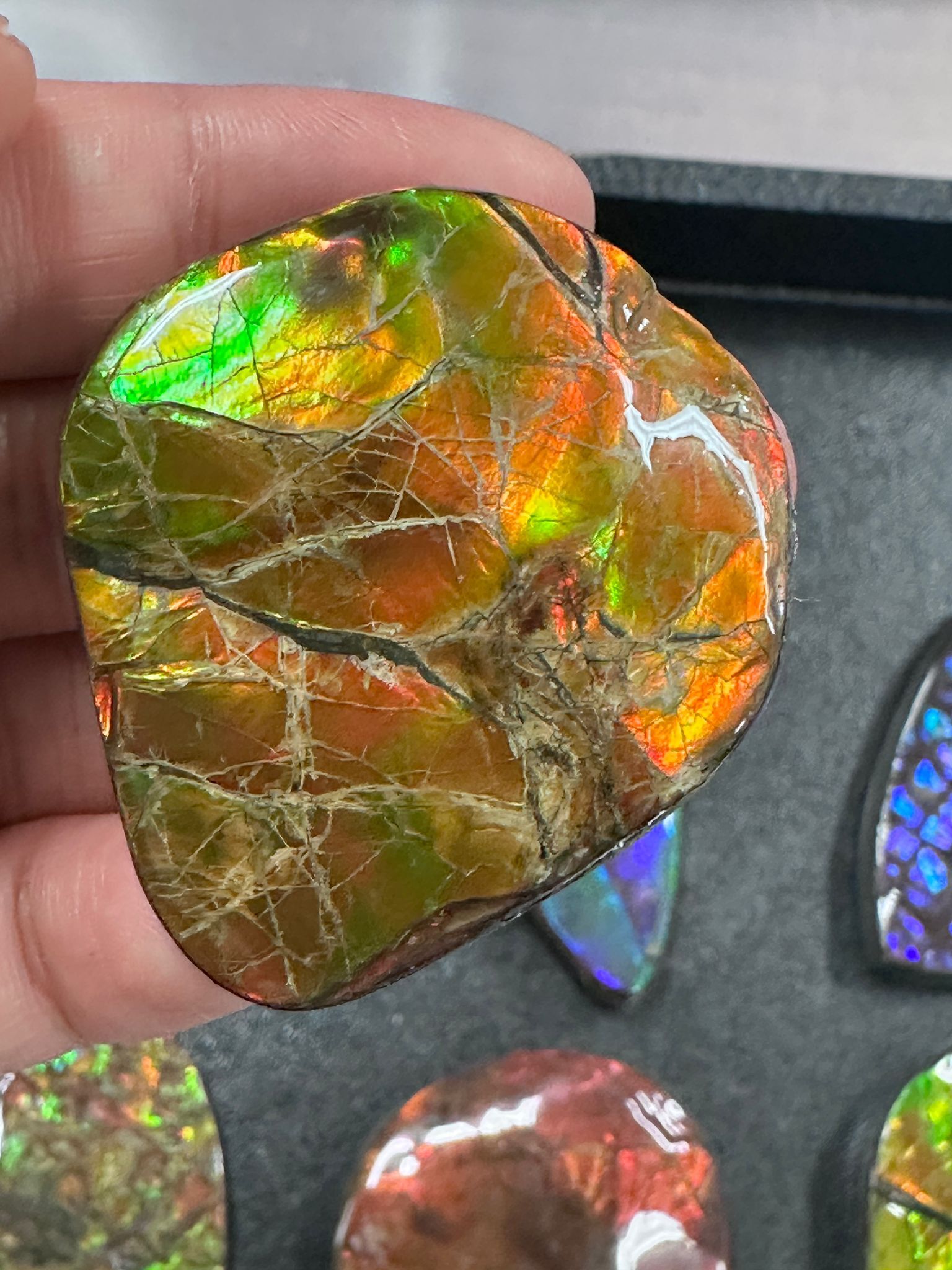 RX104 加拿大斑彩 細擺件43