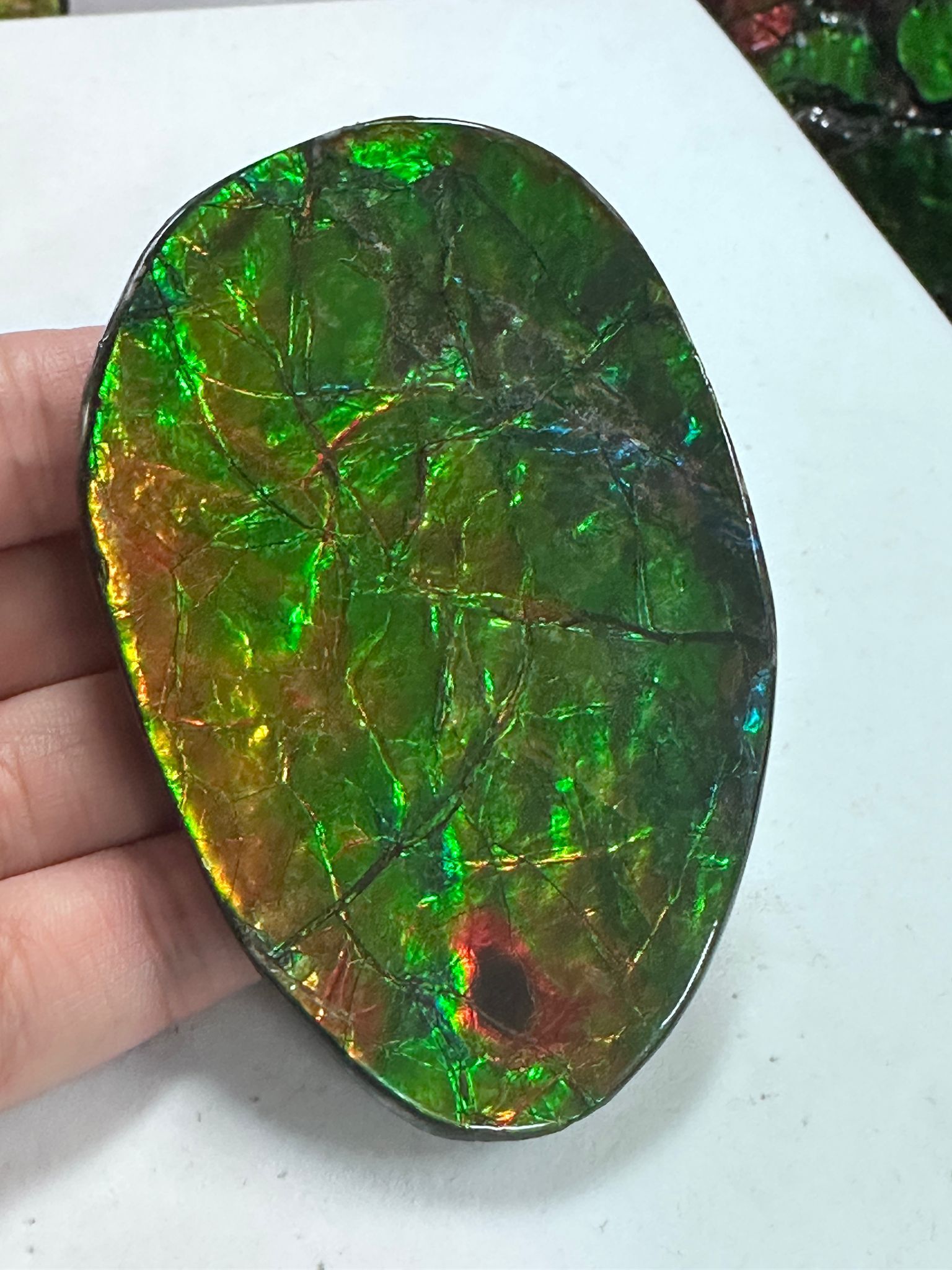 RX105 加拿大斑彩 擺件21