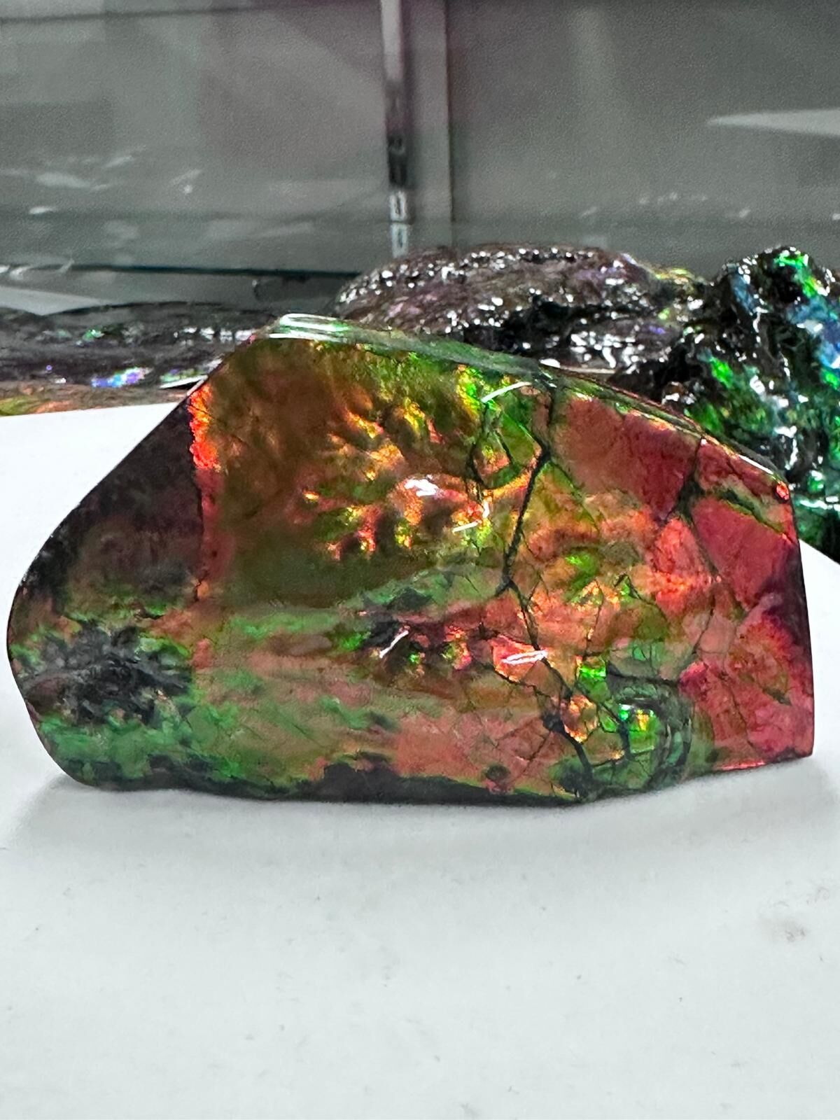 RX109 加拿大斑彩 擺件25