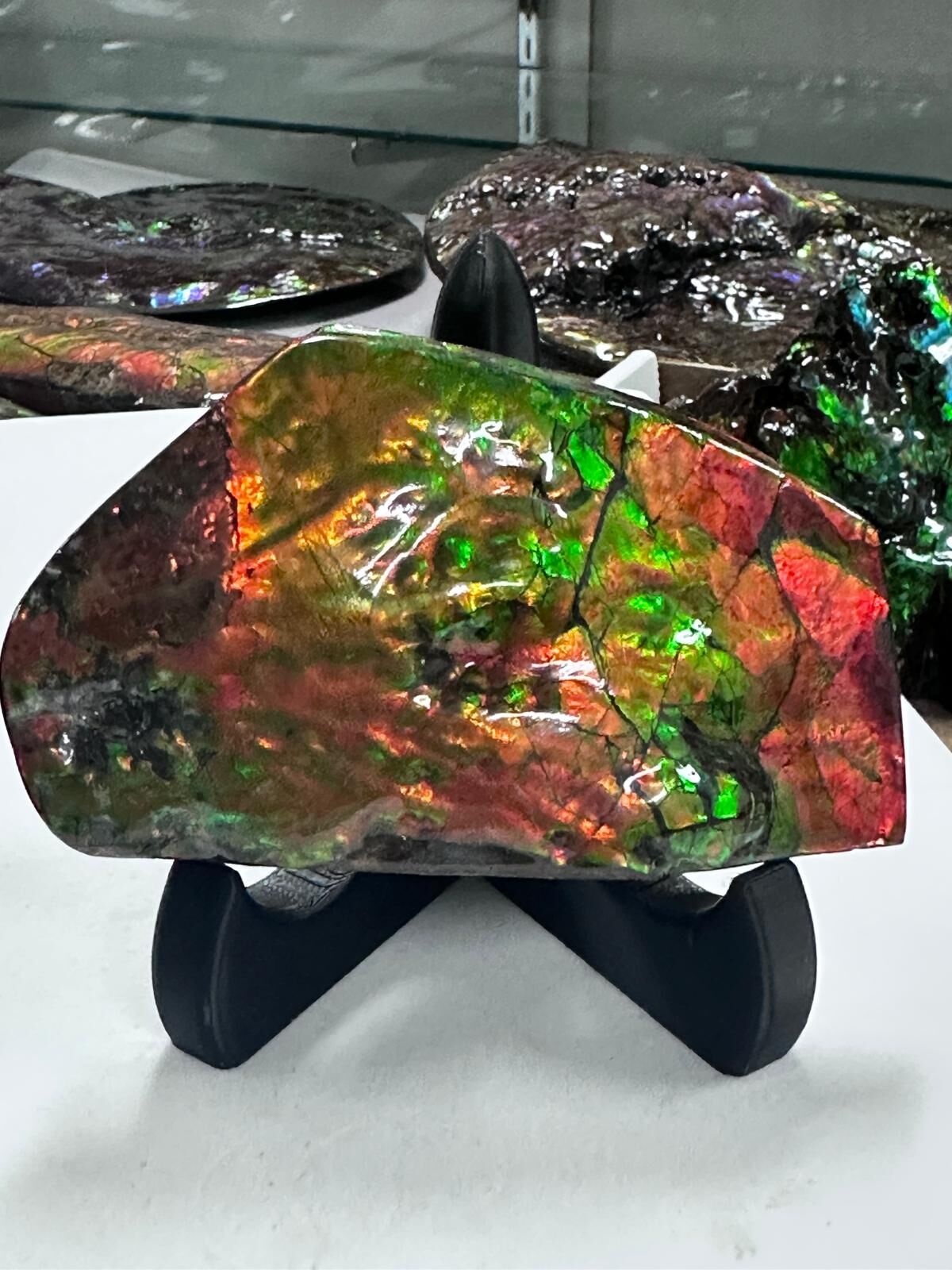 RX109 加拿大斑彩 擺件25