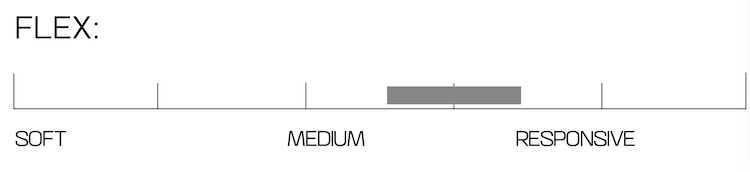 【SALOMON】Hologram-SB固定器-2526-INTRO