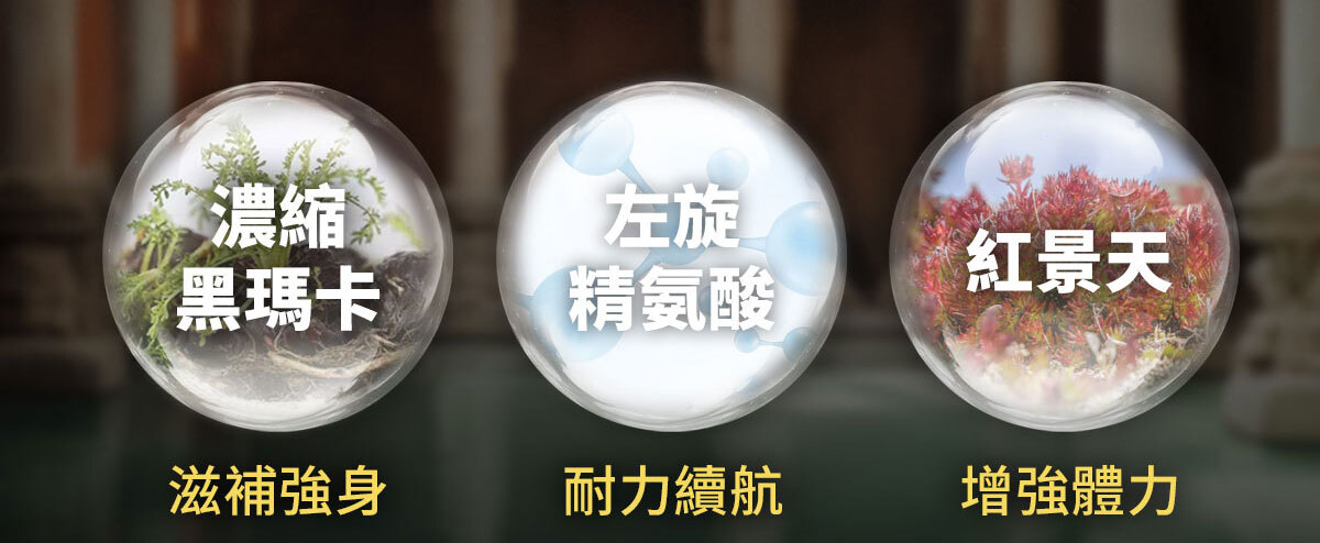 威猛戰神-黑瑪卡-34