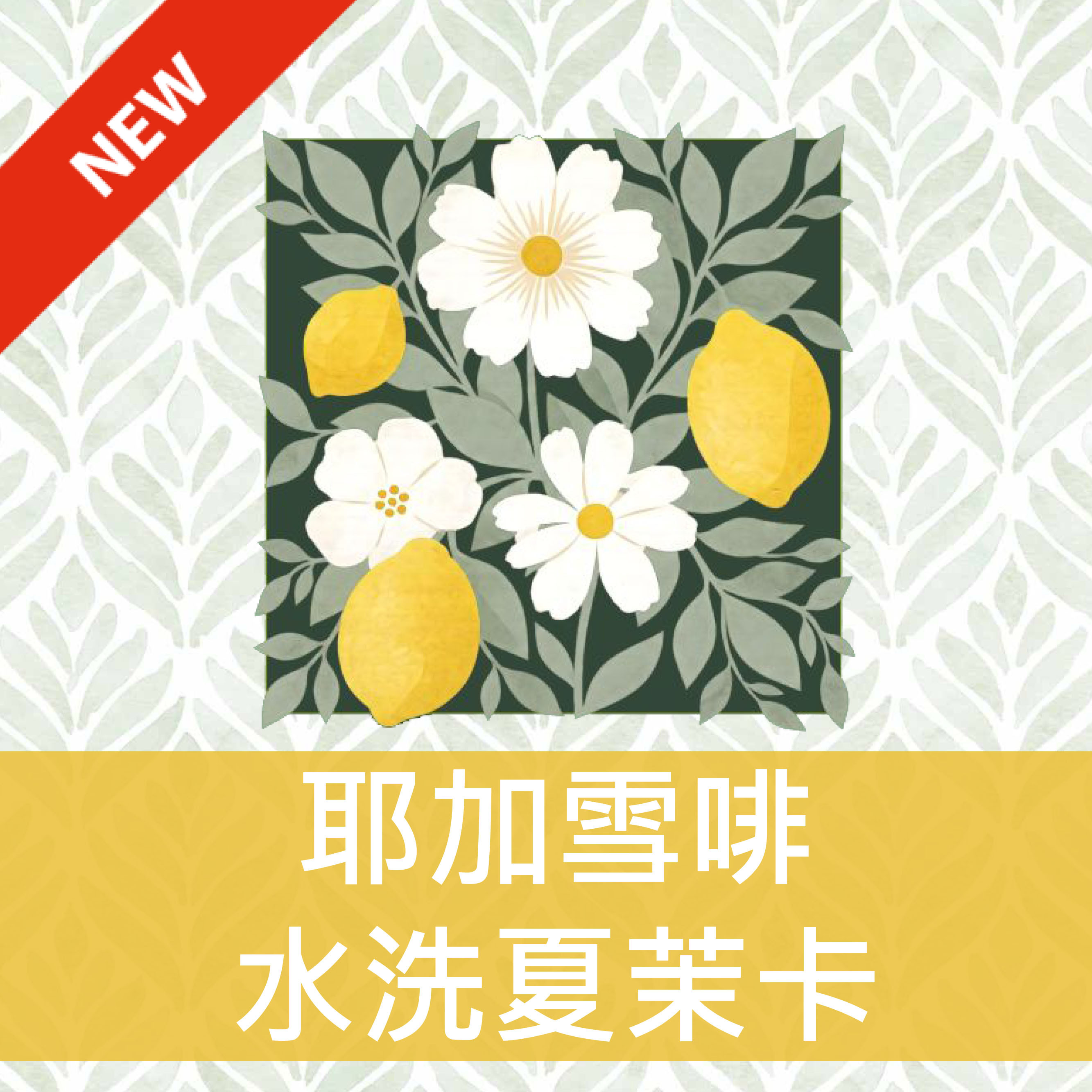 ｜NEW｜耶加雪啡 水洗夏茉卡