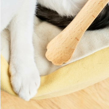 LADY FLAVOR 好味小姐｜好味不求貓 抓耙子