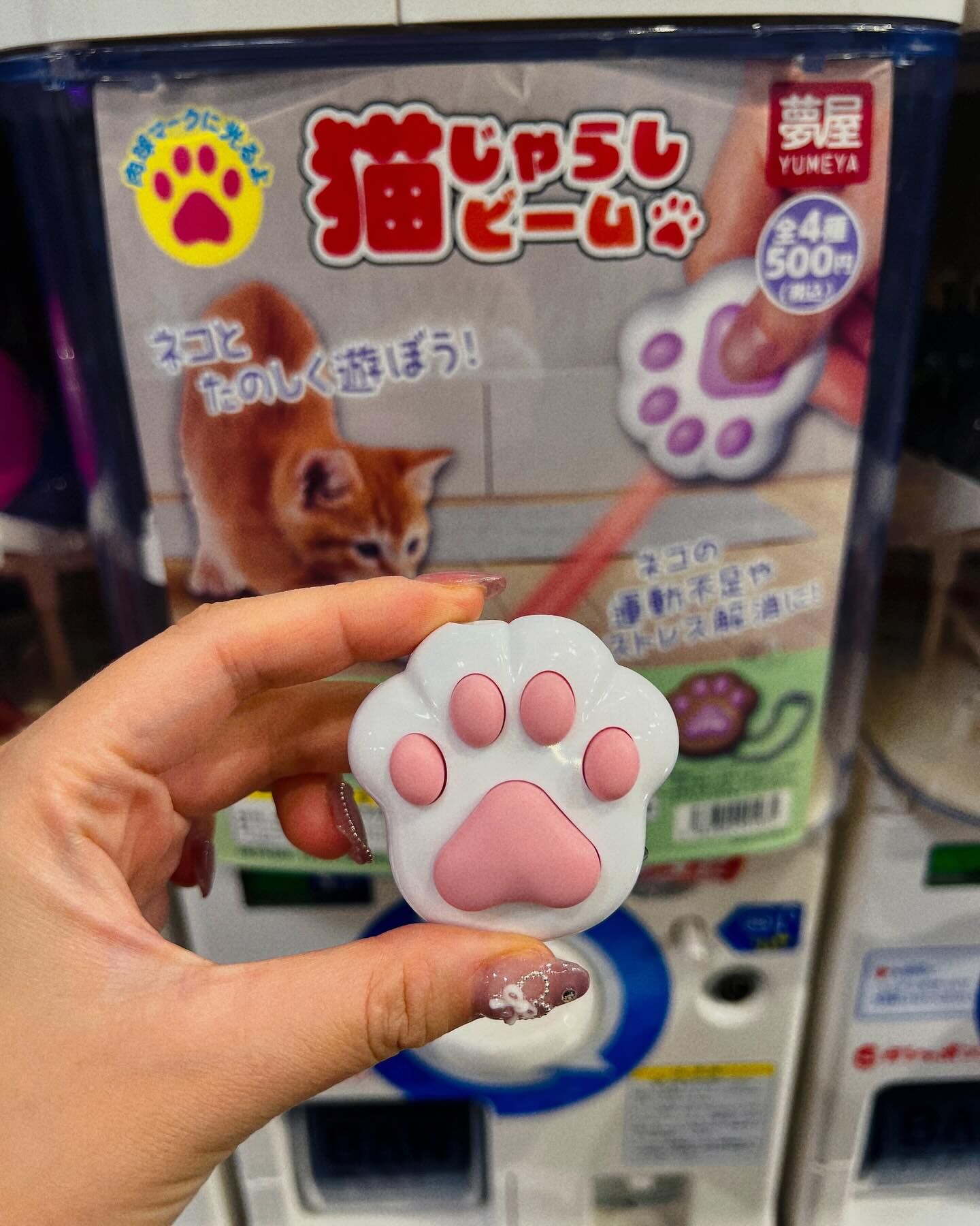 #現貨 🇯🇵日本 貓逗棒光束 盲盒扭蛋