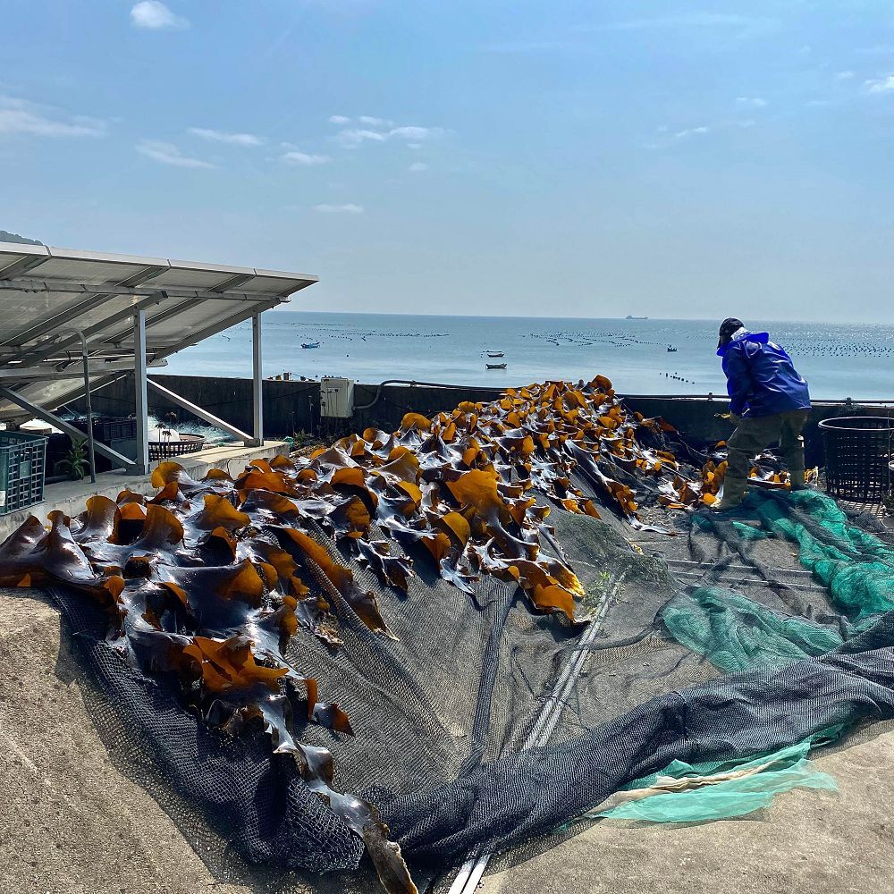 西尾半島｜芙蓉澳地產昆布