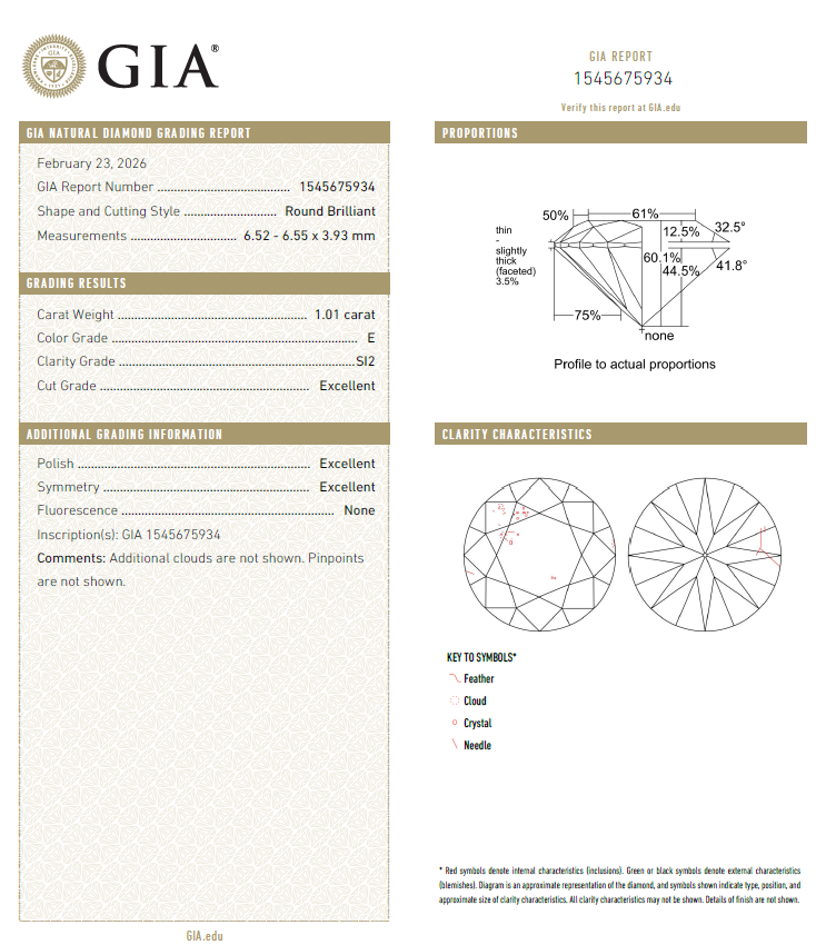 GIA鑽石 1.01 E SI2 3EX NON