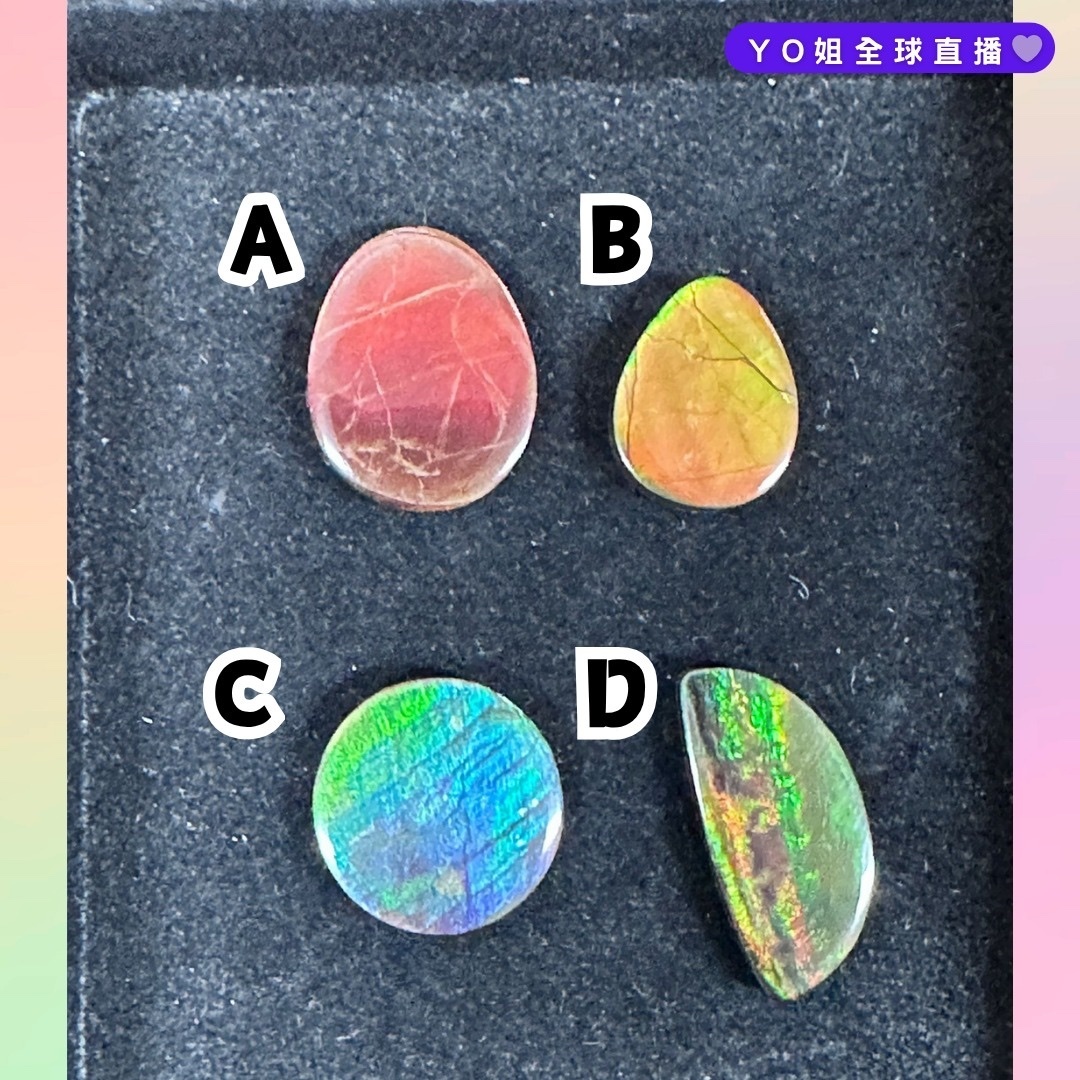 RX82 加拿大斑彩 隨身細件10