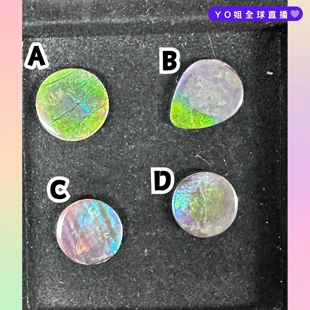 RX84 加拿大斑彩 隨身細件12