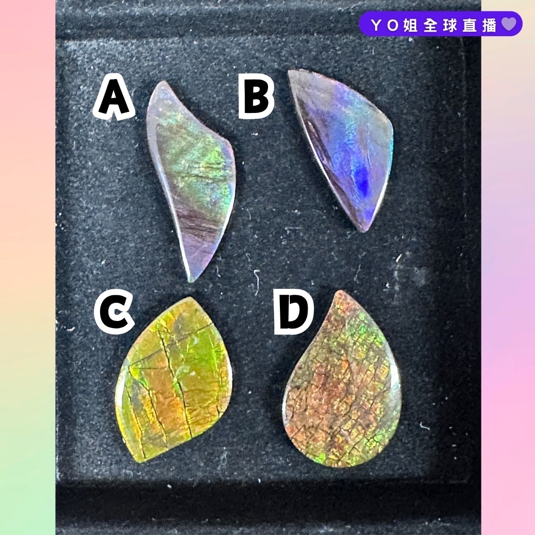 RX85 加拿大斑彩 隨身細件13