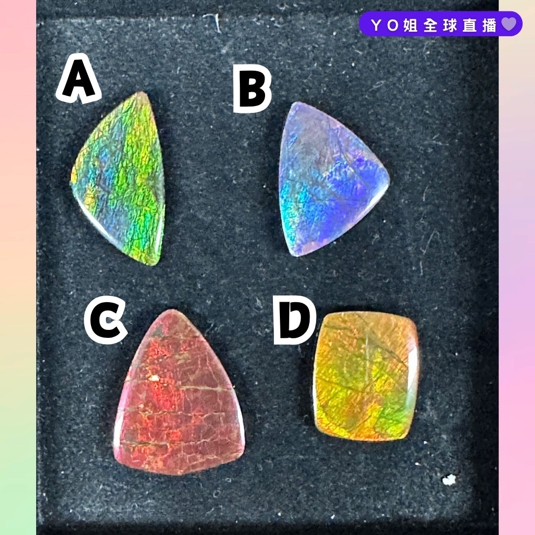 RX86 加拿大斑彩 隨身細件14