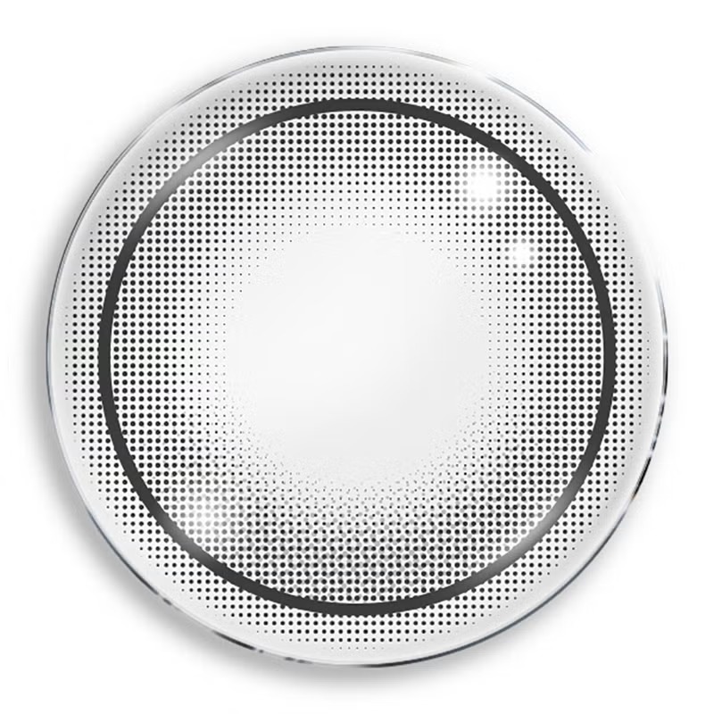 [Daily] LARME Silicone Hydrogel W Moist UV 1 Day Gray Tears|Silicone Hydrogel Makeup Contact Lenses | 10 lenses per box