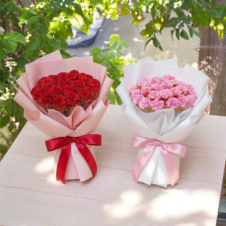 紅色粉色康乃馨花束在陽光桌面上,母親節聚會神器,母親節康乃馨花束