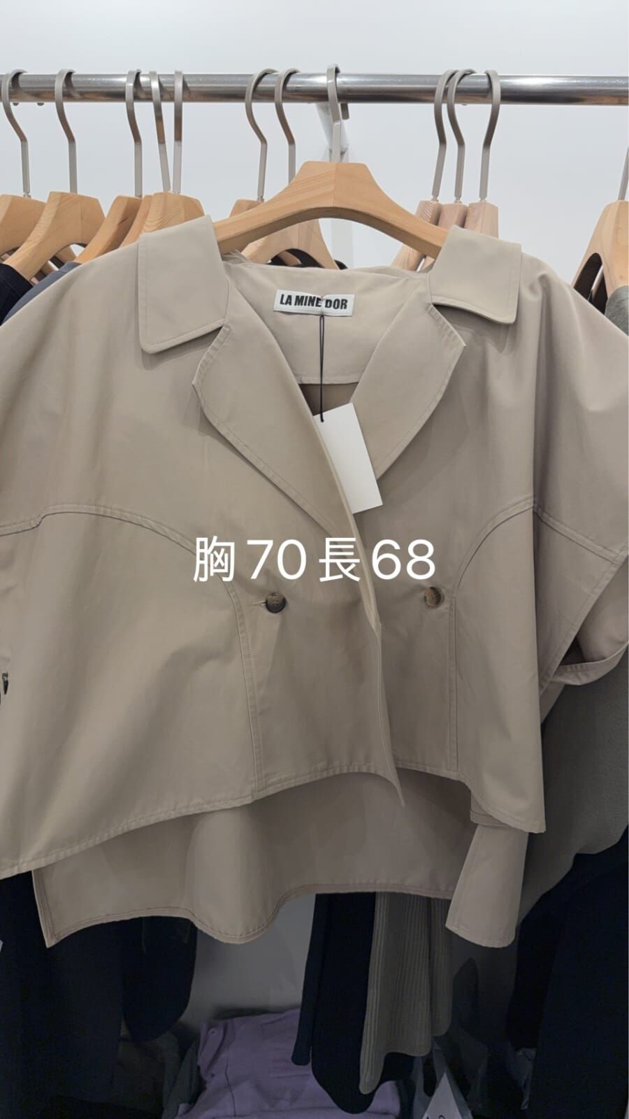 LA6020 雙排扣翻領飛飛袖外搭