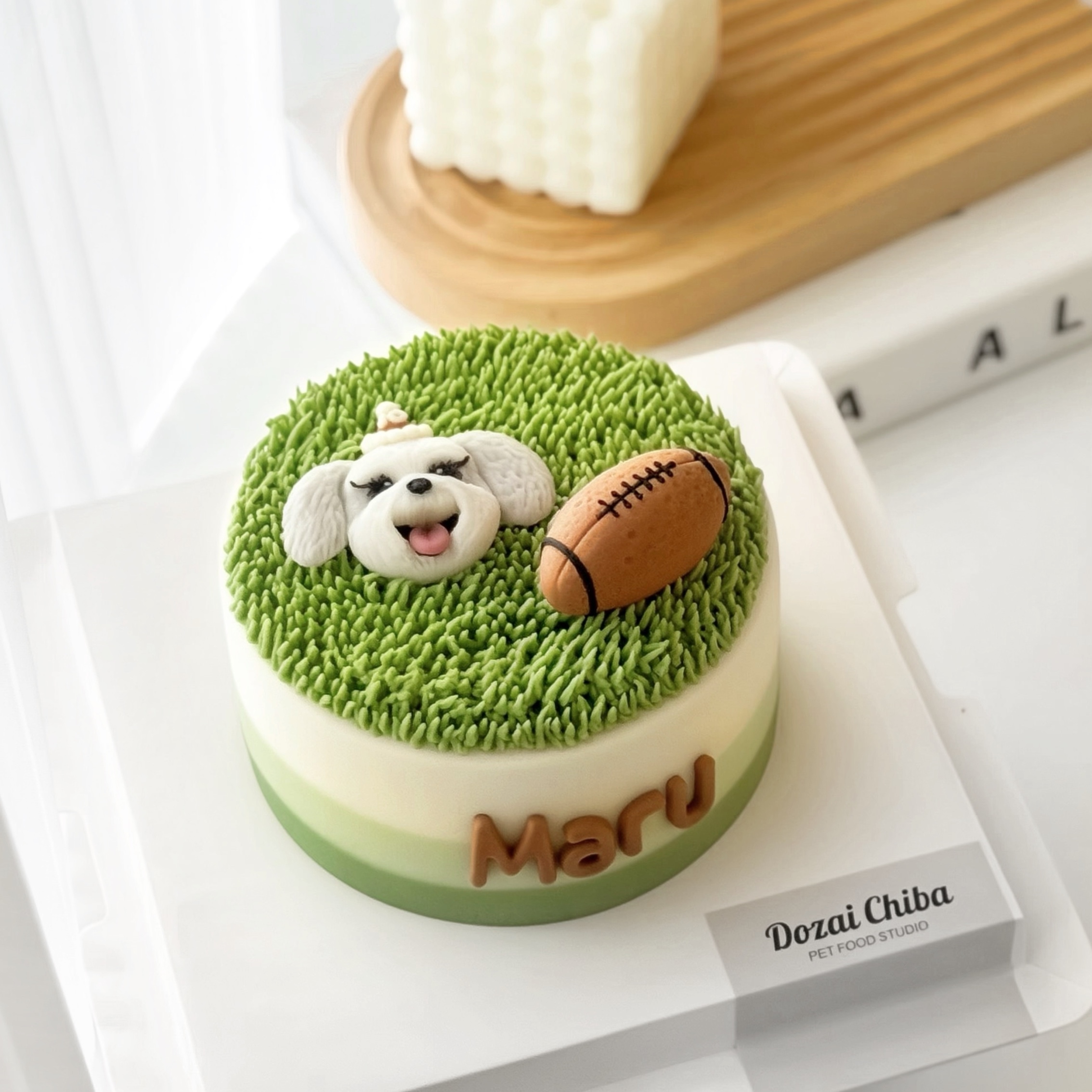 ꒰ 綠色系꒱ 草地逐夢