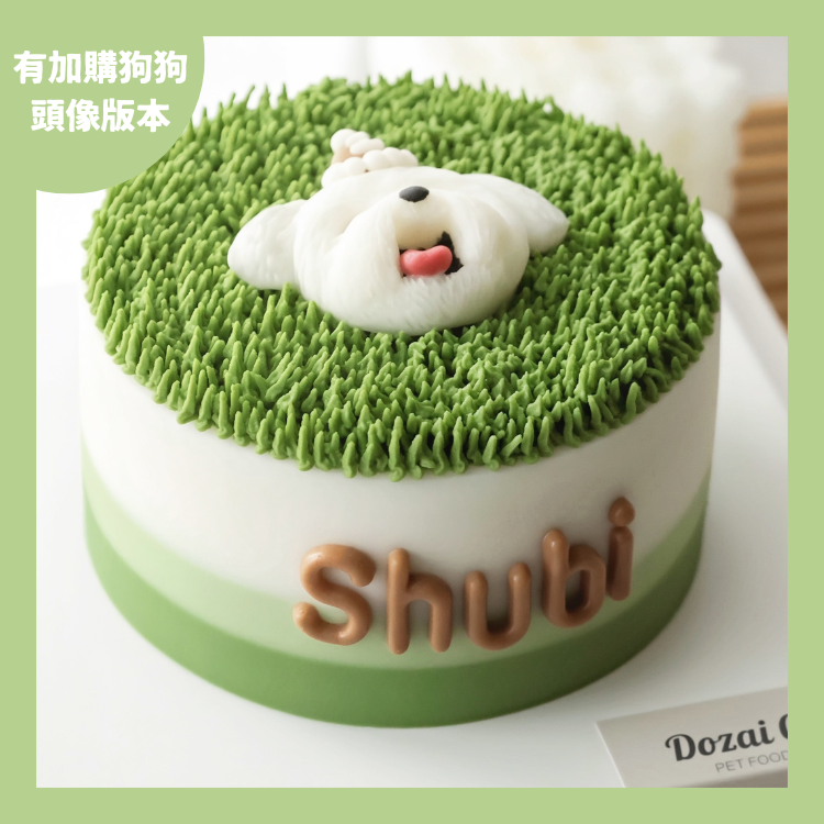 ꒰ 綠色系꒱ 草地逐夢