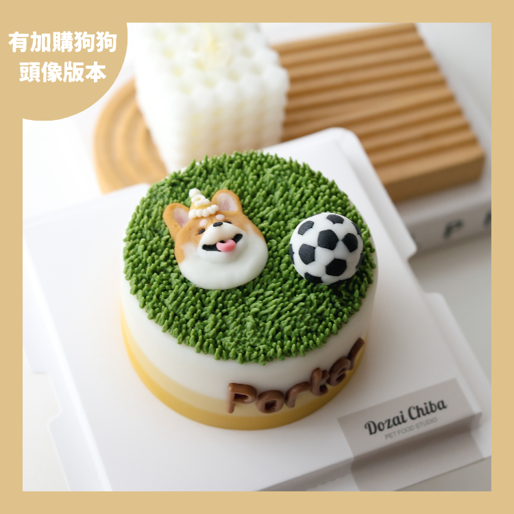 ꒰ 橘色系꒱ 草地逐夢