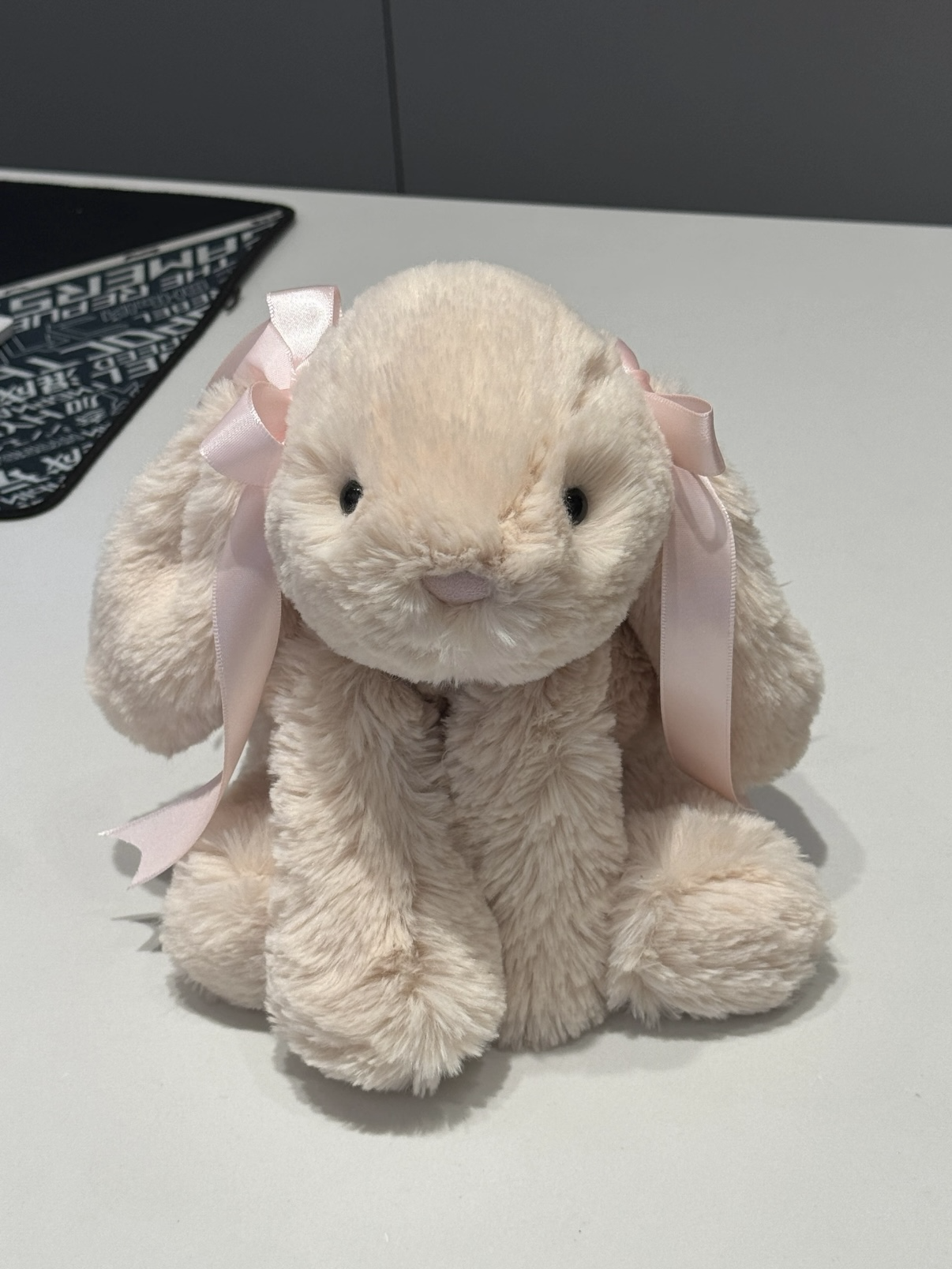 (預購） （預購）JellyCat Smudge 趴姿史瑪吉系列  兔兔🐰