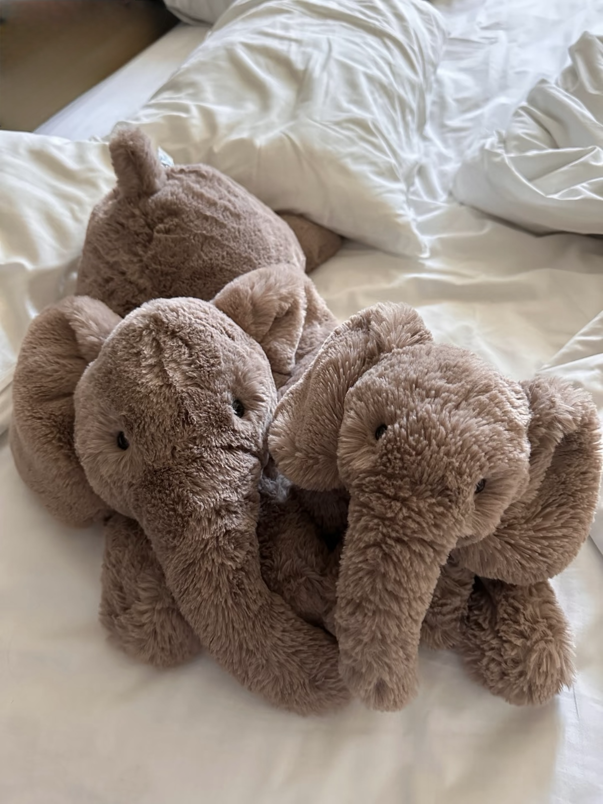 (預購）JellyCat Smudge 趴姿史瑪吉系列大集合！！小熊、河馬、大象