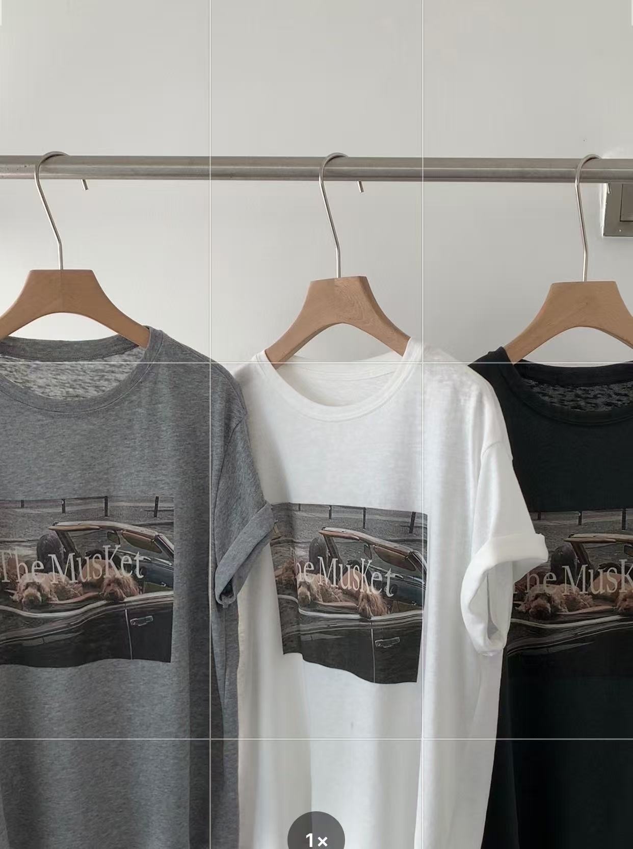 5052 狗狗搭敞篷車大T