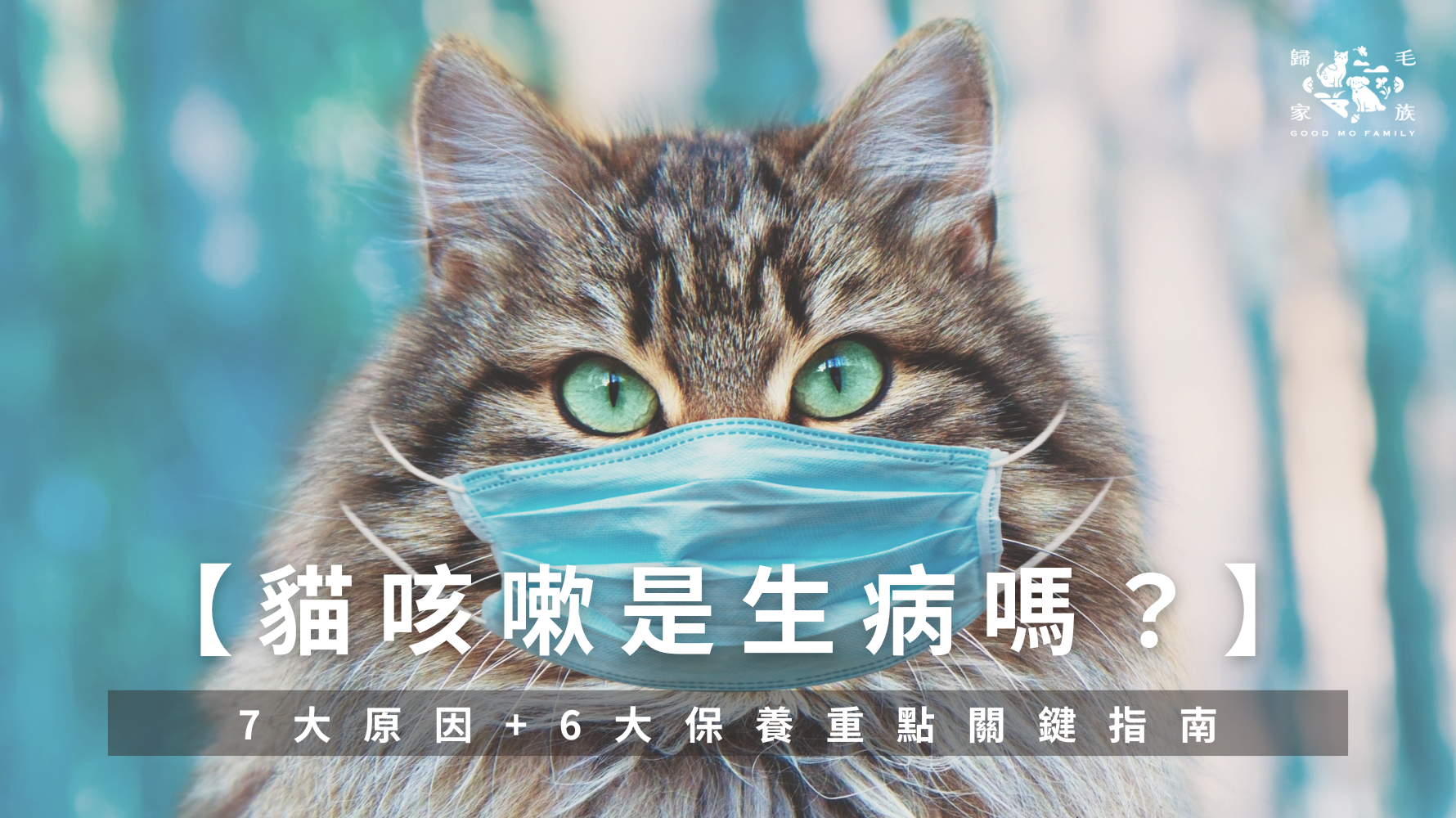 貓咳嗽是生病嗎？7大常見原因+6點日常保養重點，避免延誤治療關鍵指南