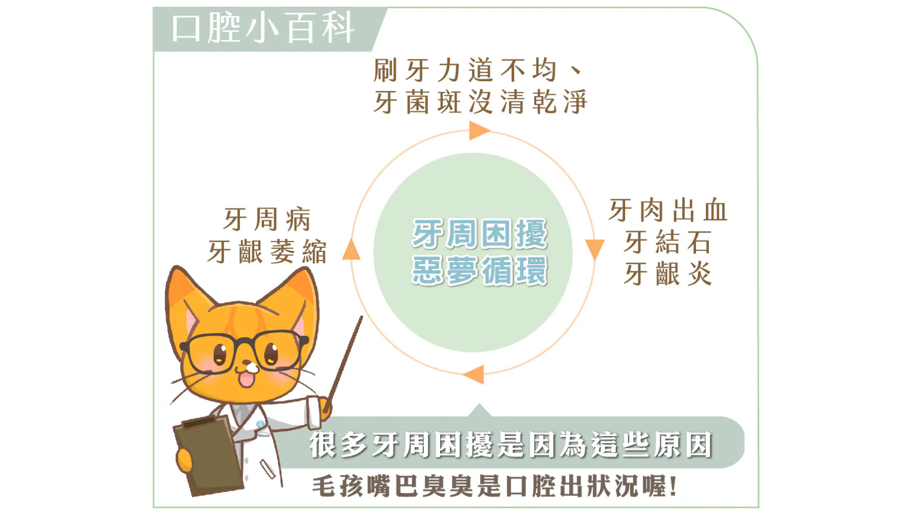 研究顯示，3歲以上的貓咪有7成以上出現不同程度的牙周問題。牙菌斑與牙結石長期堆積，會從牙齦發炎逐漸惡化成牙周炎，嚴重時甚至可能造成牙齒鬆動或掉牙。因此了解貓牙周病的形成原因與早期警訊，是維持貓咪口腔健康的重要關鍵。