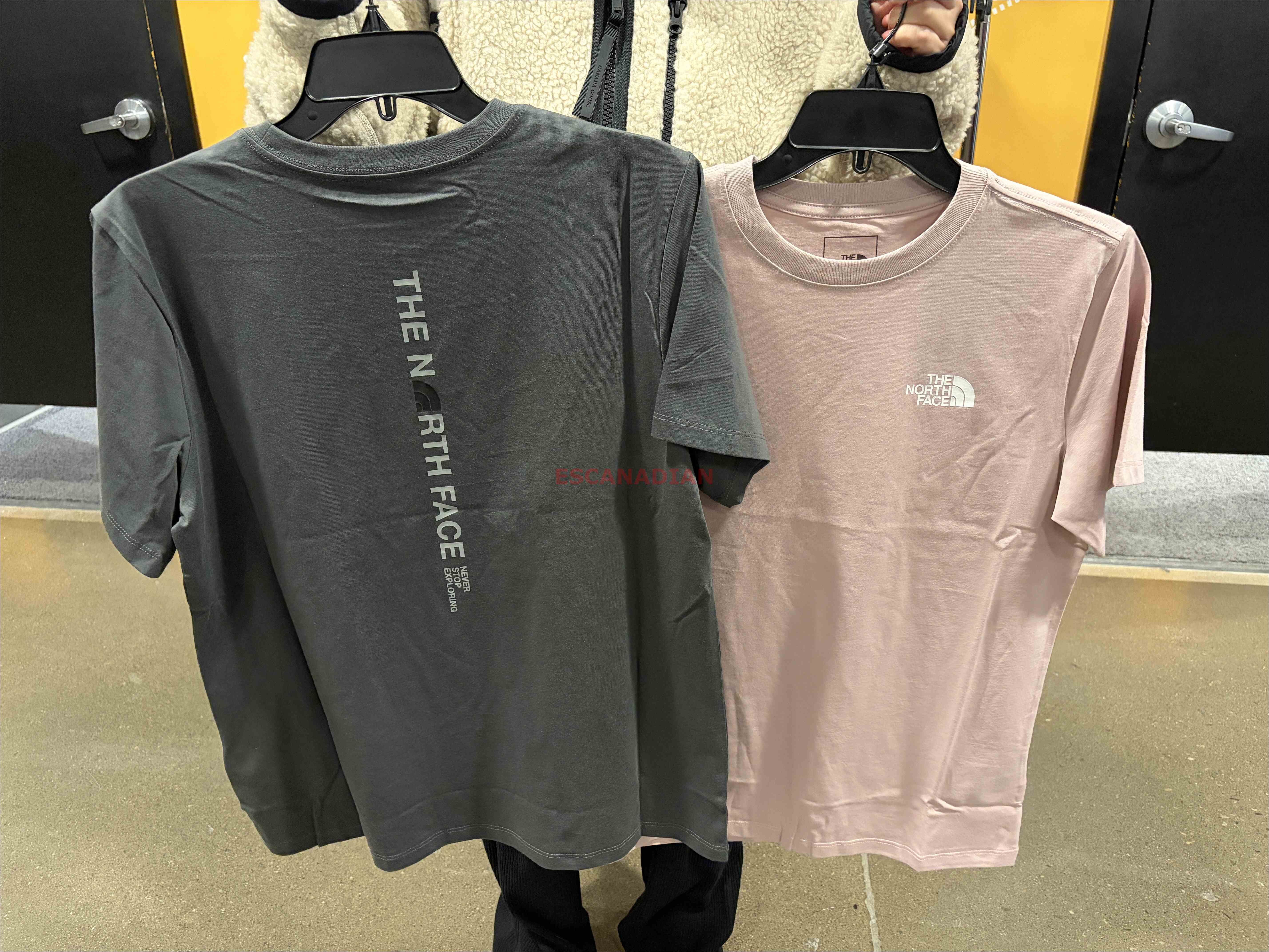 THE NORTH FACE 女大人 字樣標語 正反圖案 短TEE (正常版) (2色)