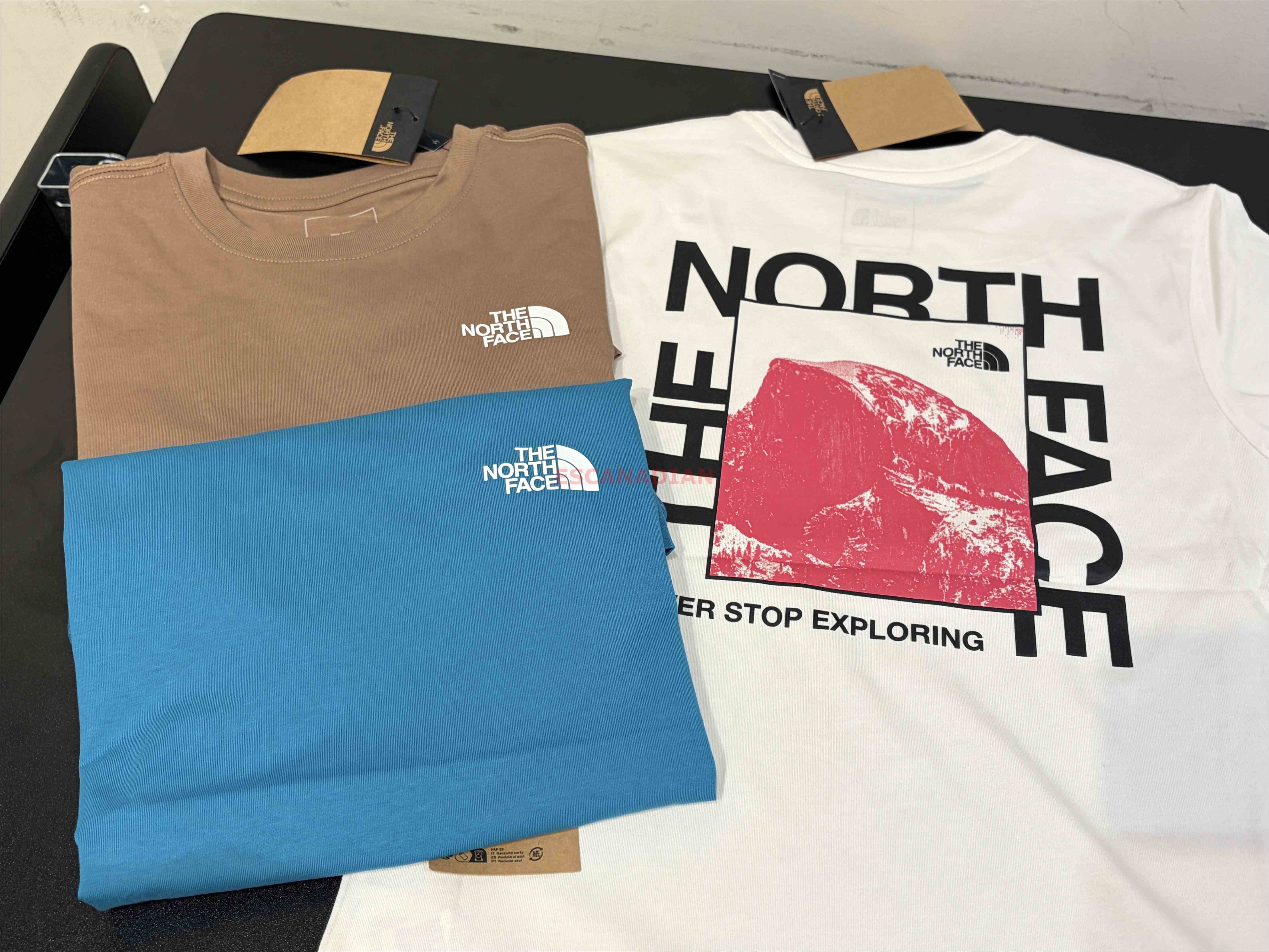 THE NORTH FACE 女大人 造型圖案標語 正反圖案 短TEE (正常版) (3色)