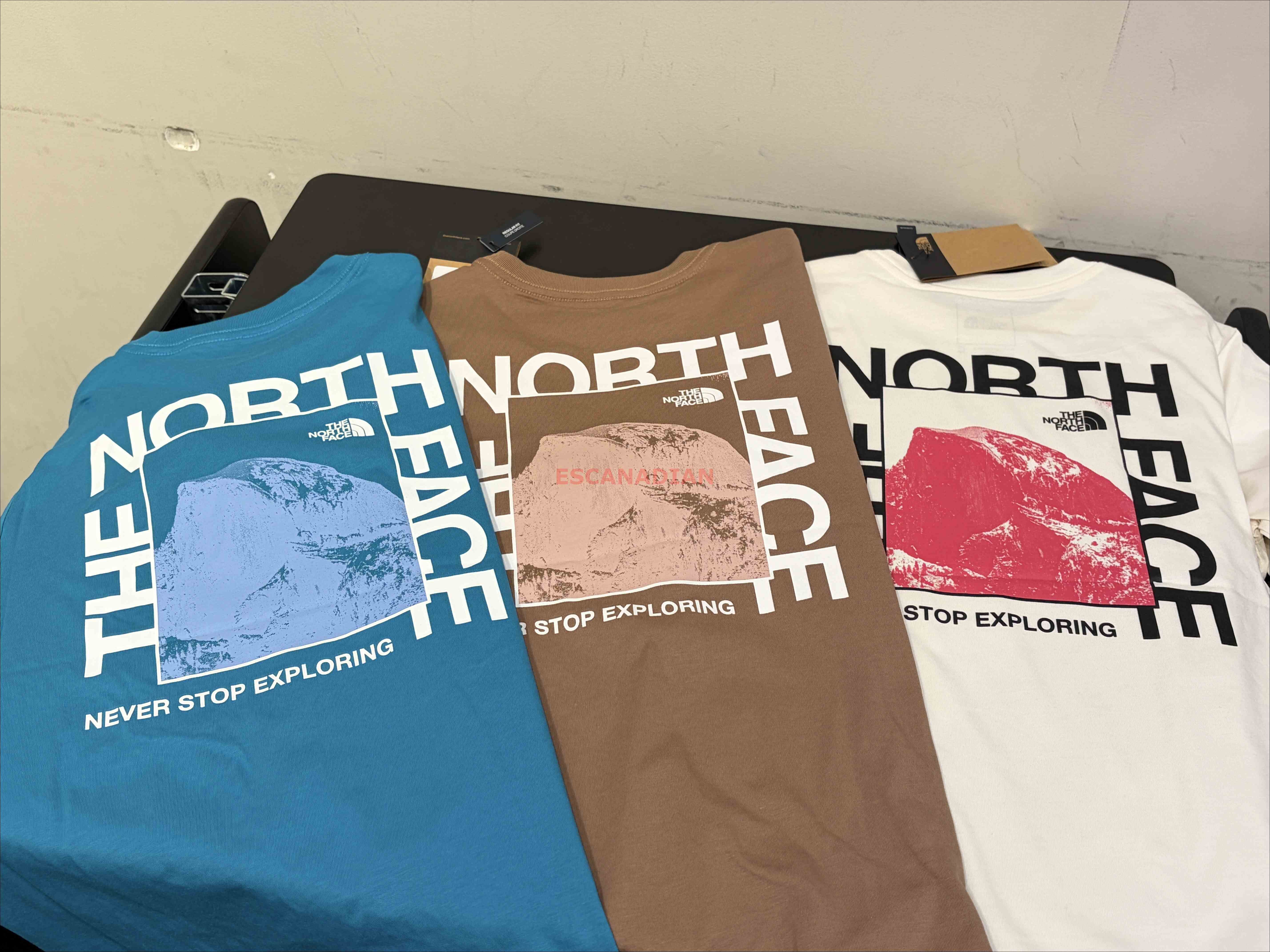 THE NORTH FACE 女大人 造型圖案標語 正反圖案 短TEE (正常版) (3色)