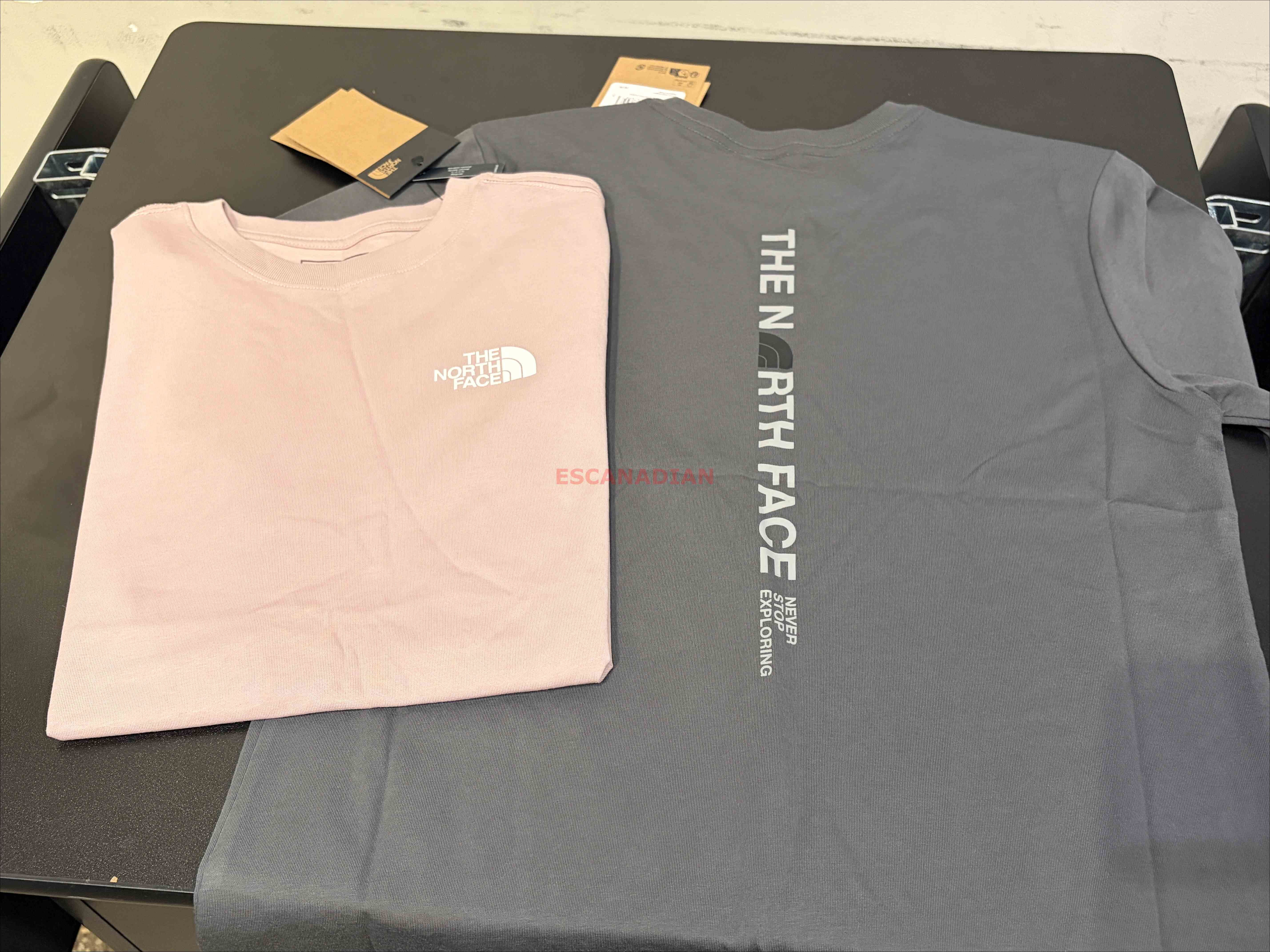 THE NORTH FACE 女大人 字樣標語 正反圖案 短TEE (正常版) (2色)