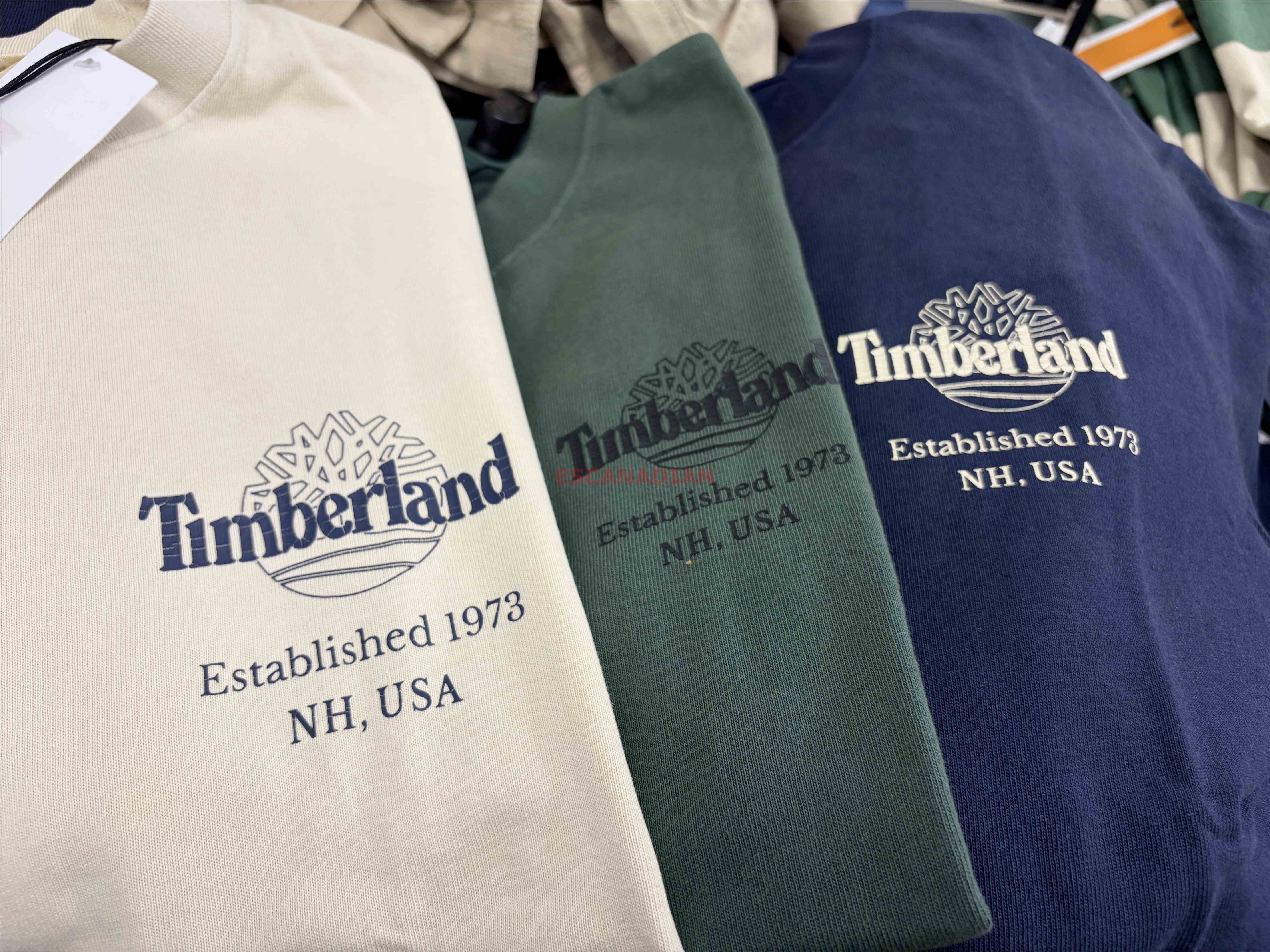 Timberland 大人 硬挺厚磅 正反圖案 短TEE (前小後大) (3色)