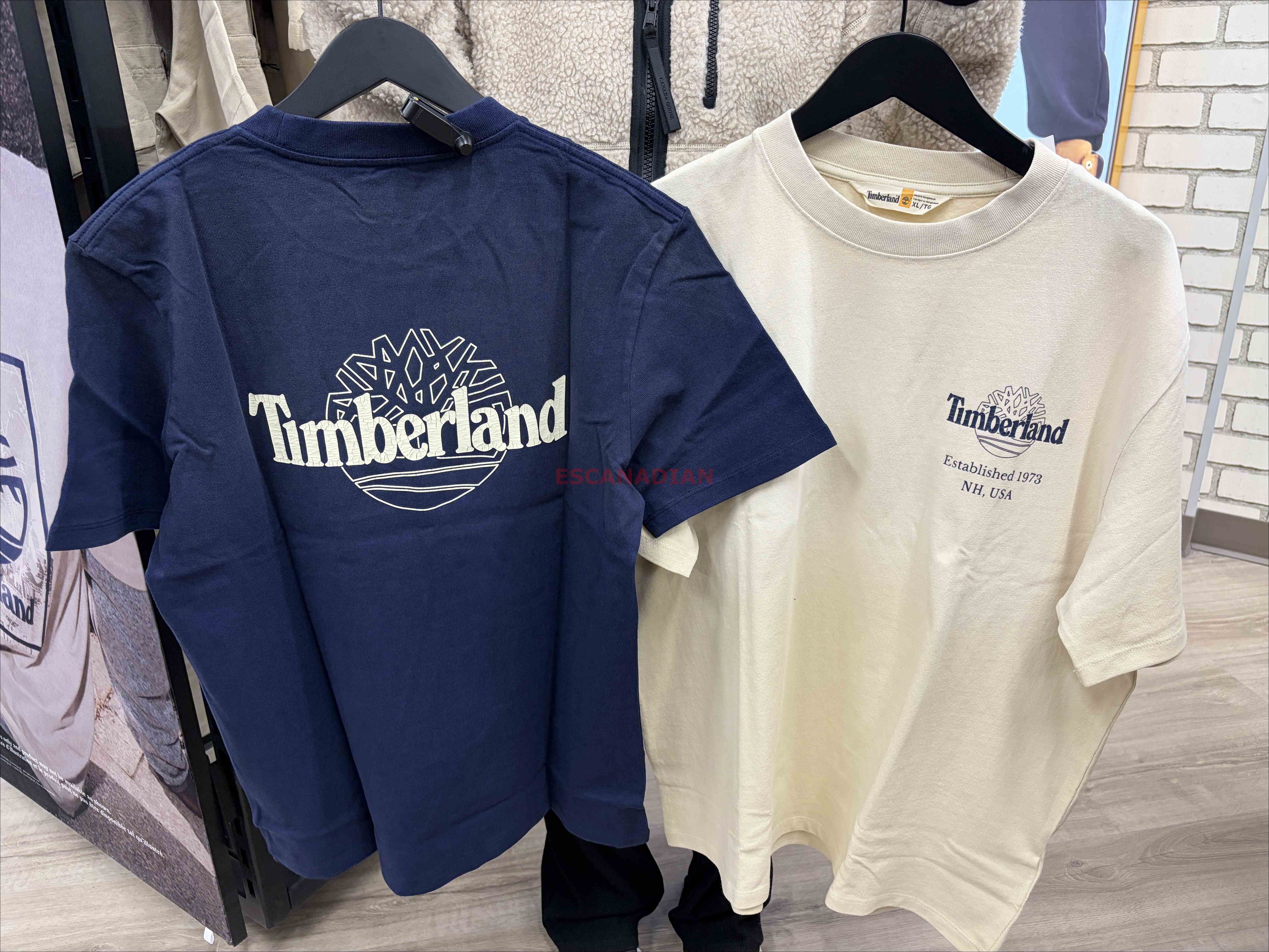Timberland 大人 硬挺厚磅 正反圖案 短TEE (前小後大) (3色)
