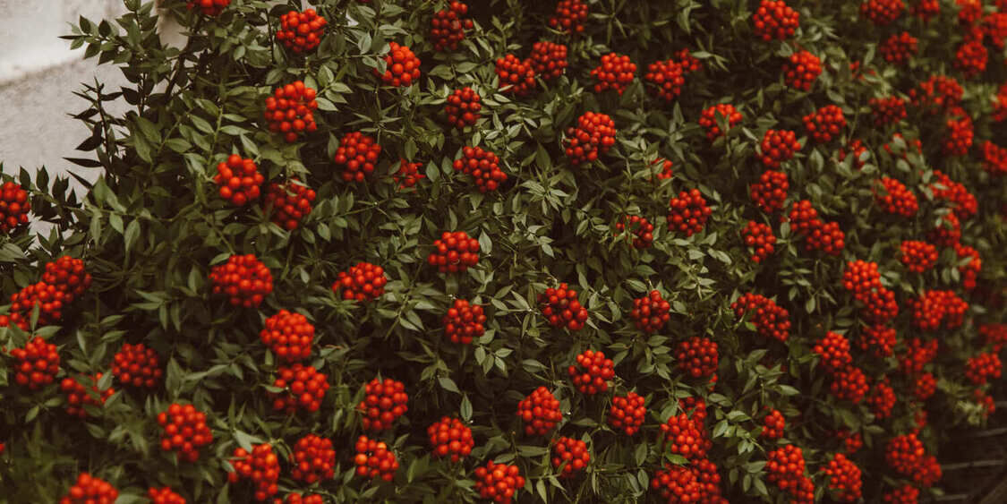 私密處保養4大迷思：專家見解