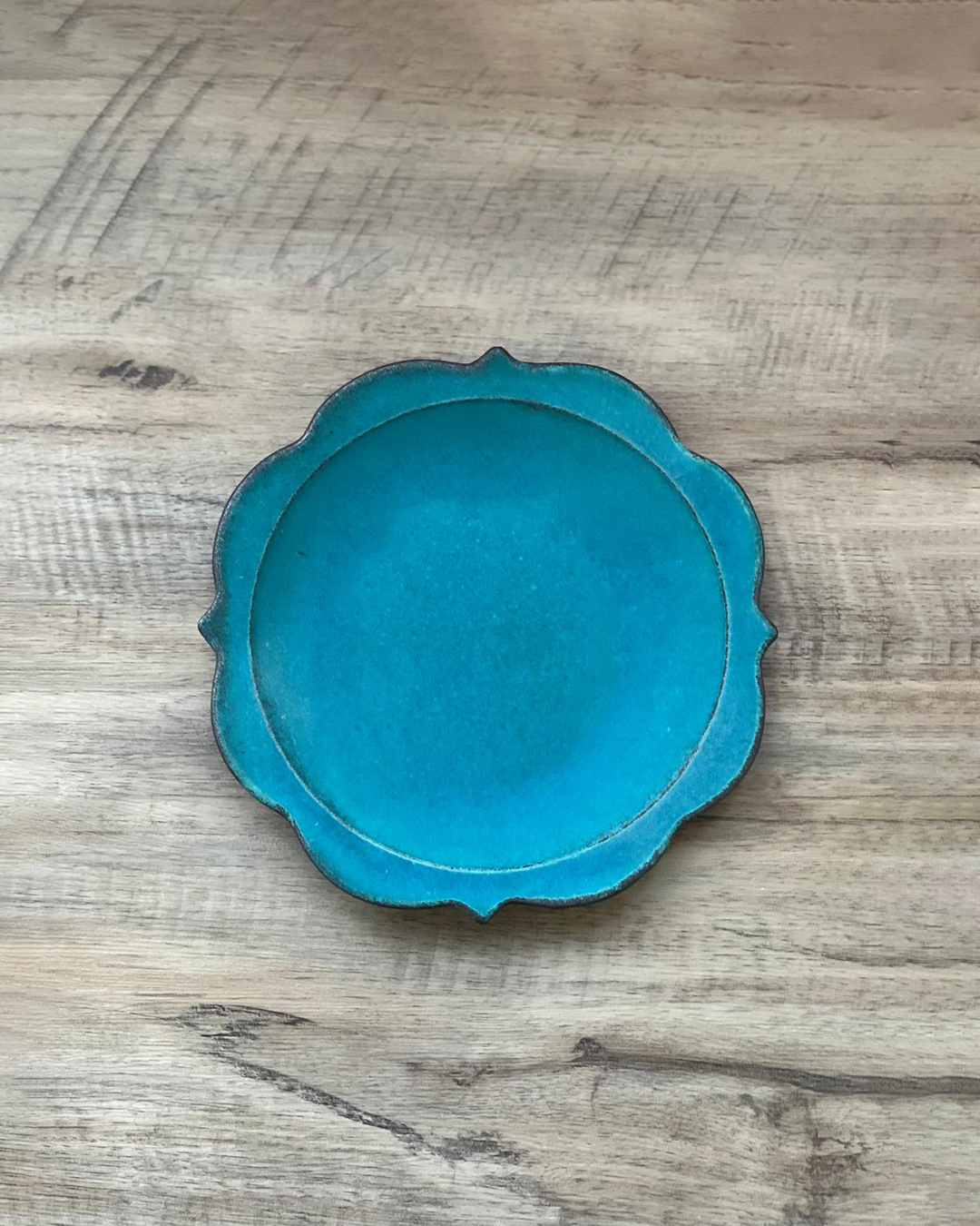 益子燒 太陽碟 松綠色 L｜職人 若林健吾