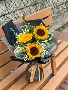 W - 向日葵跳跳菊_CON38004