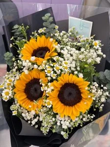 W - 向日葵跳跳菊_CON38004