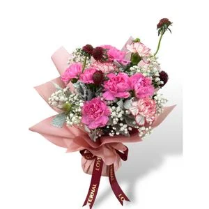 W - 10枝康乃馨花束(紫色)_CA38003