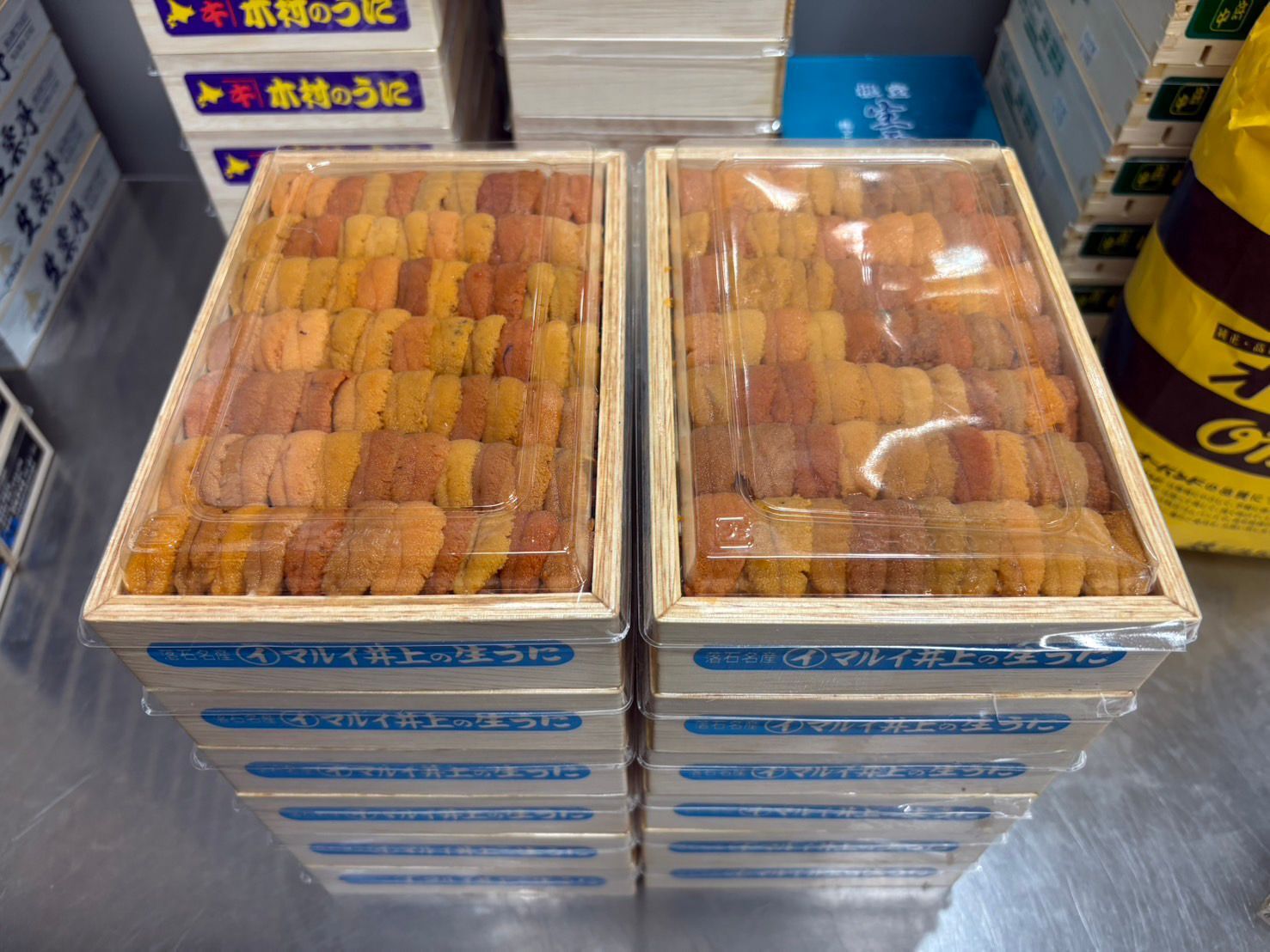 井上水產 AB  Grade 馬糞海膽 直排 250克