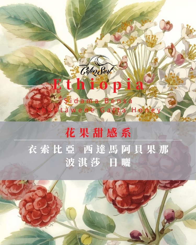 花果甜感系｜衣索比亞 西達馬 阿貝果那 波淇莎 日曬（新品85折）