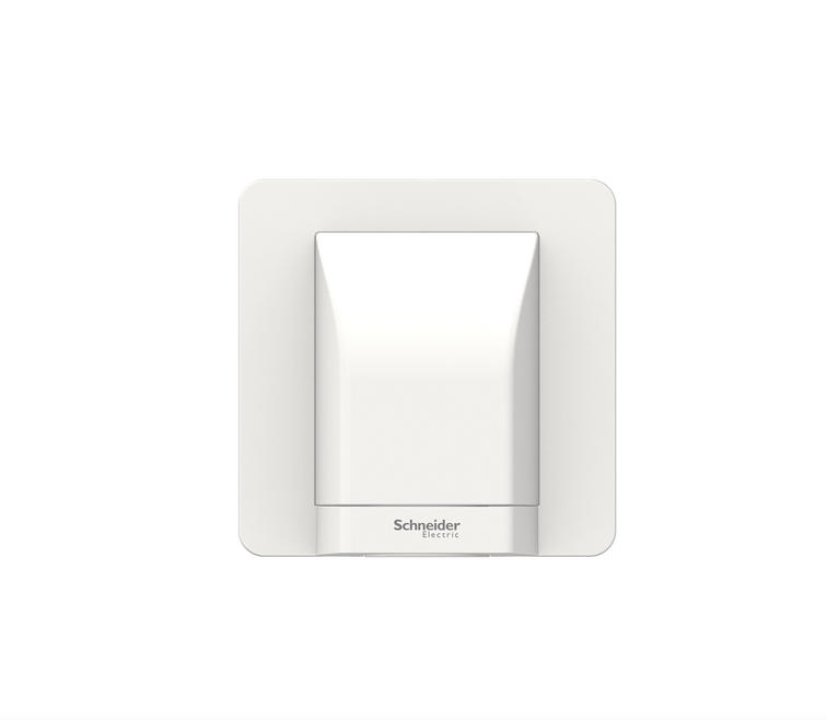 AVATARON奐尚45A單位接線蘇(龜背蘇)