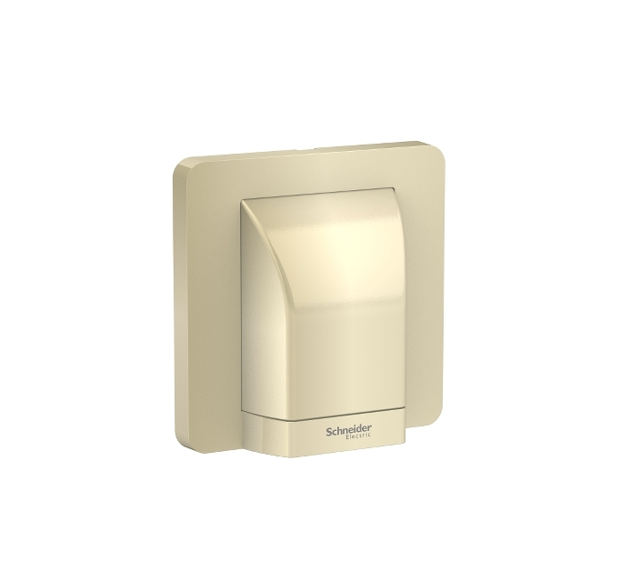 AVATARON奐尚45A單位接線蘇(龜背蘇)