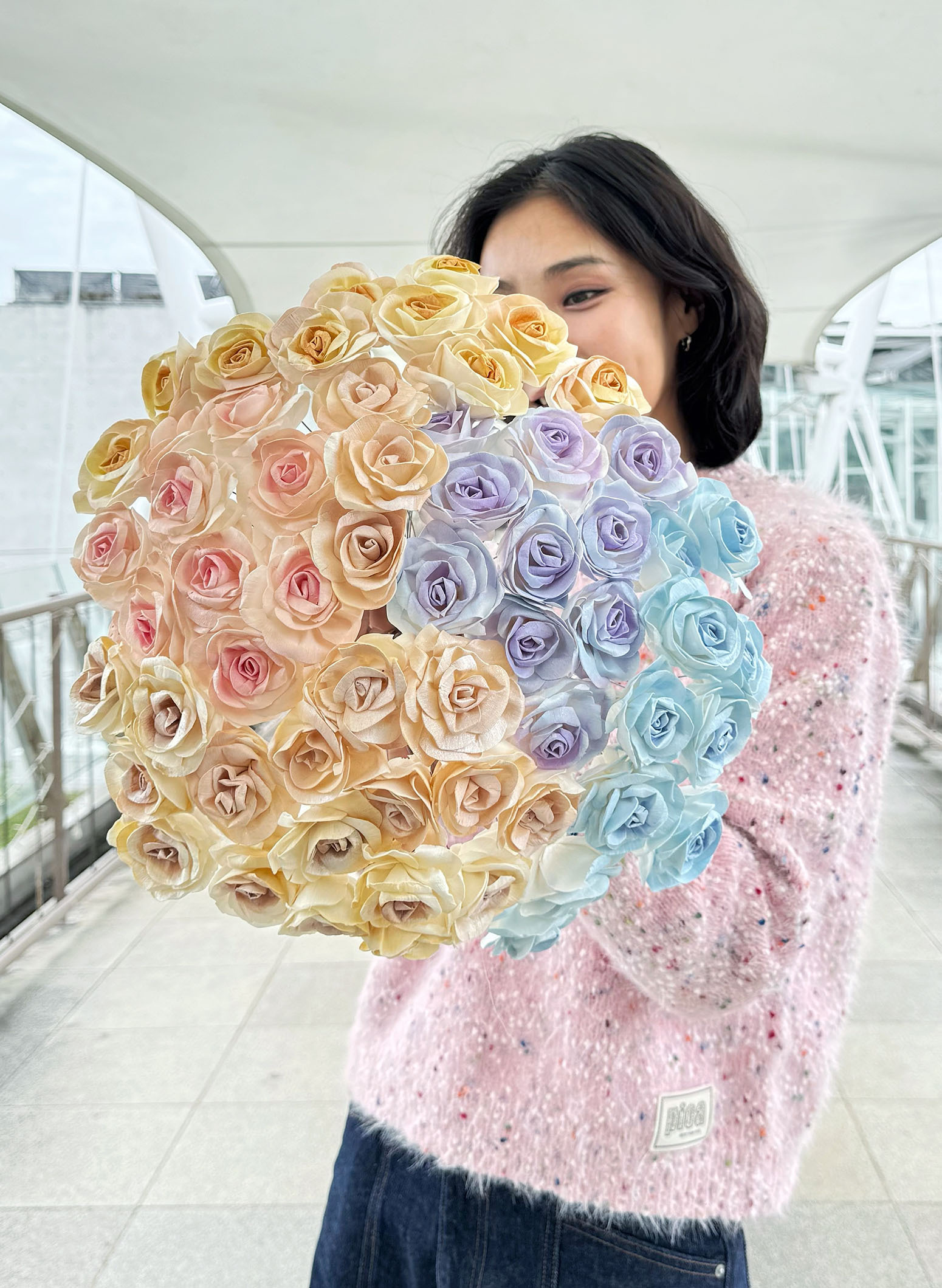 小天使玫瑰索拉