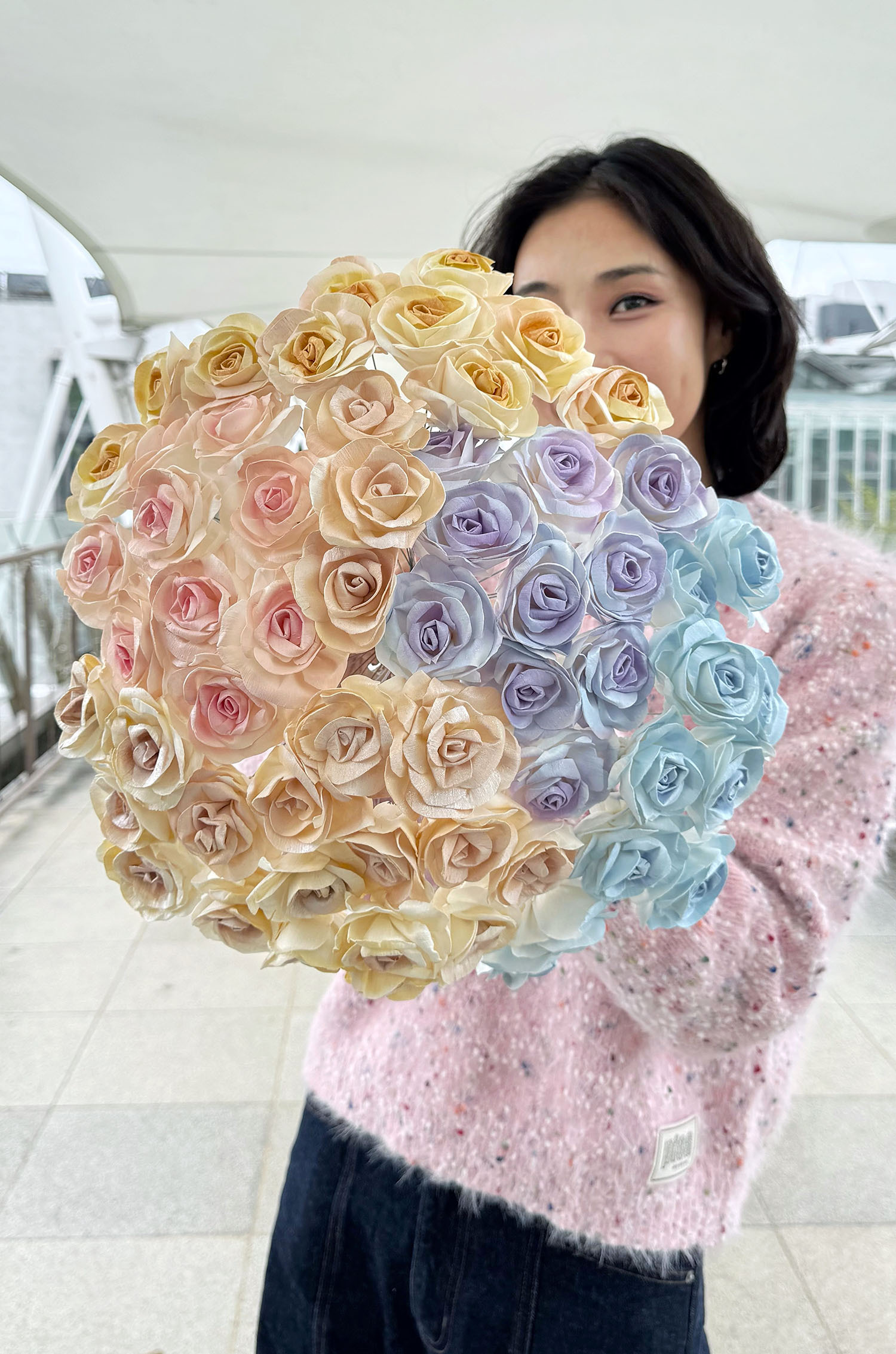 小天使玫瑰索拉