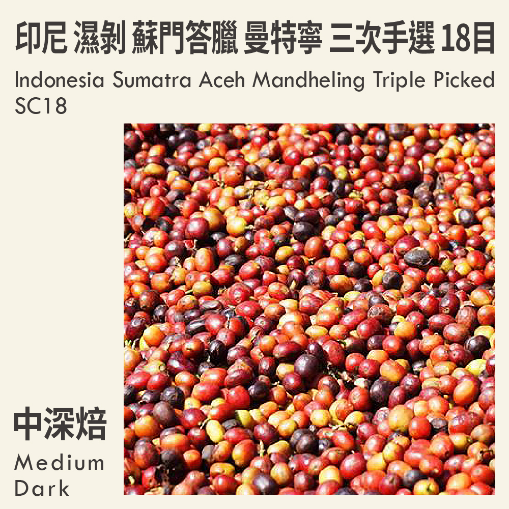 印尼 濕剝 蘇門答臘 亞齊省 曼特寧 三次手選 18目